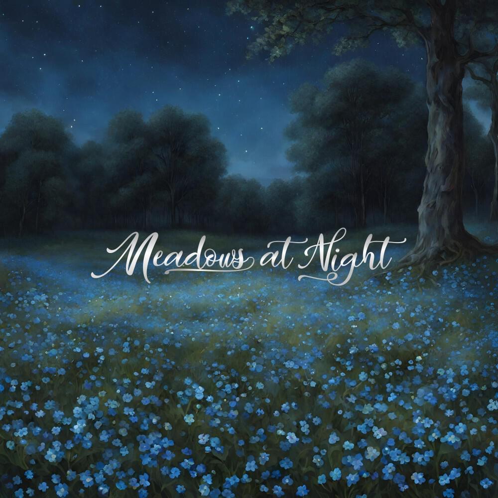 Meadows at Night