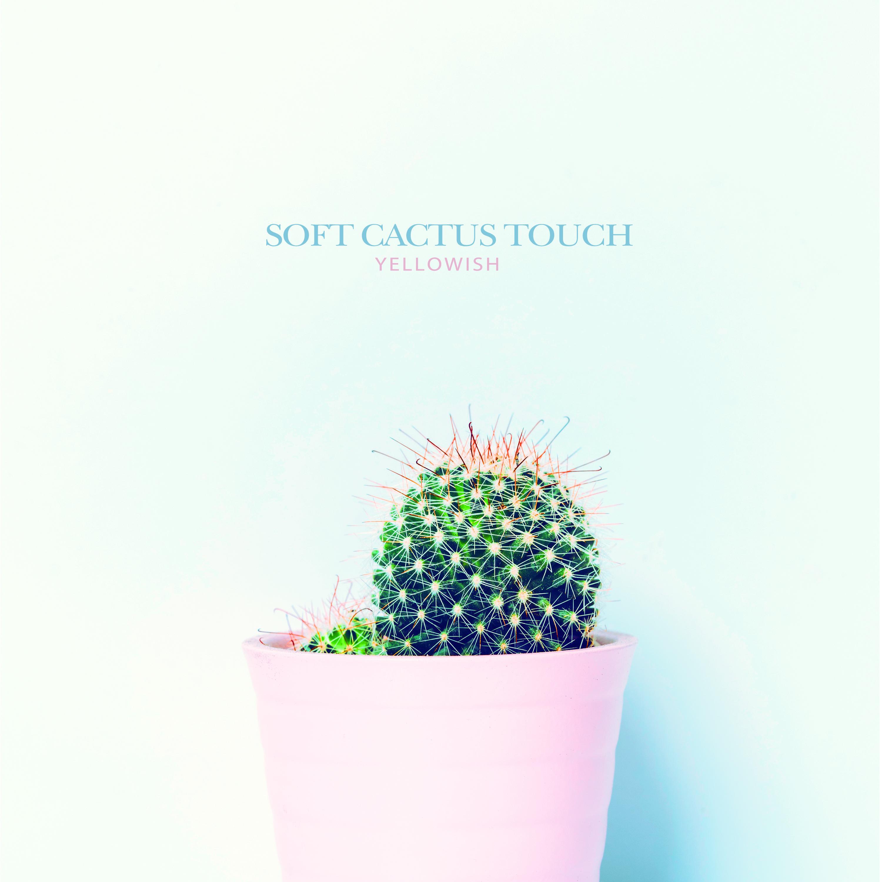Релиз Soft cactus touch