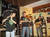 Na Fianna