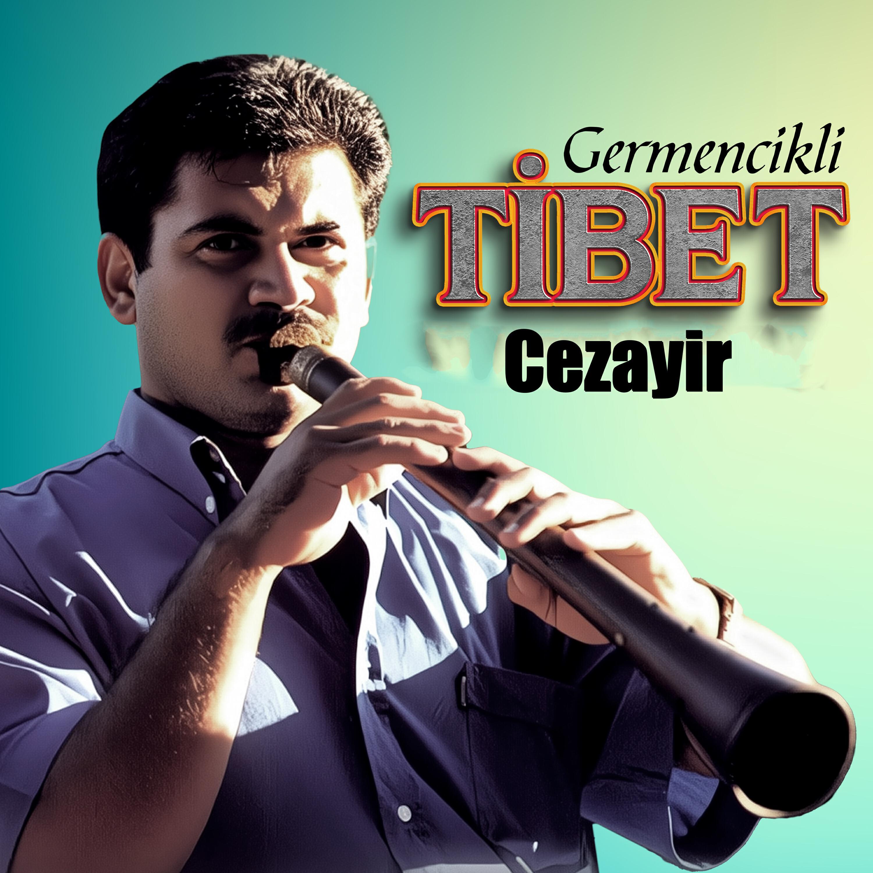 Релиз Cezayir