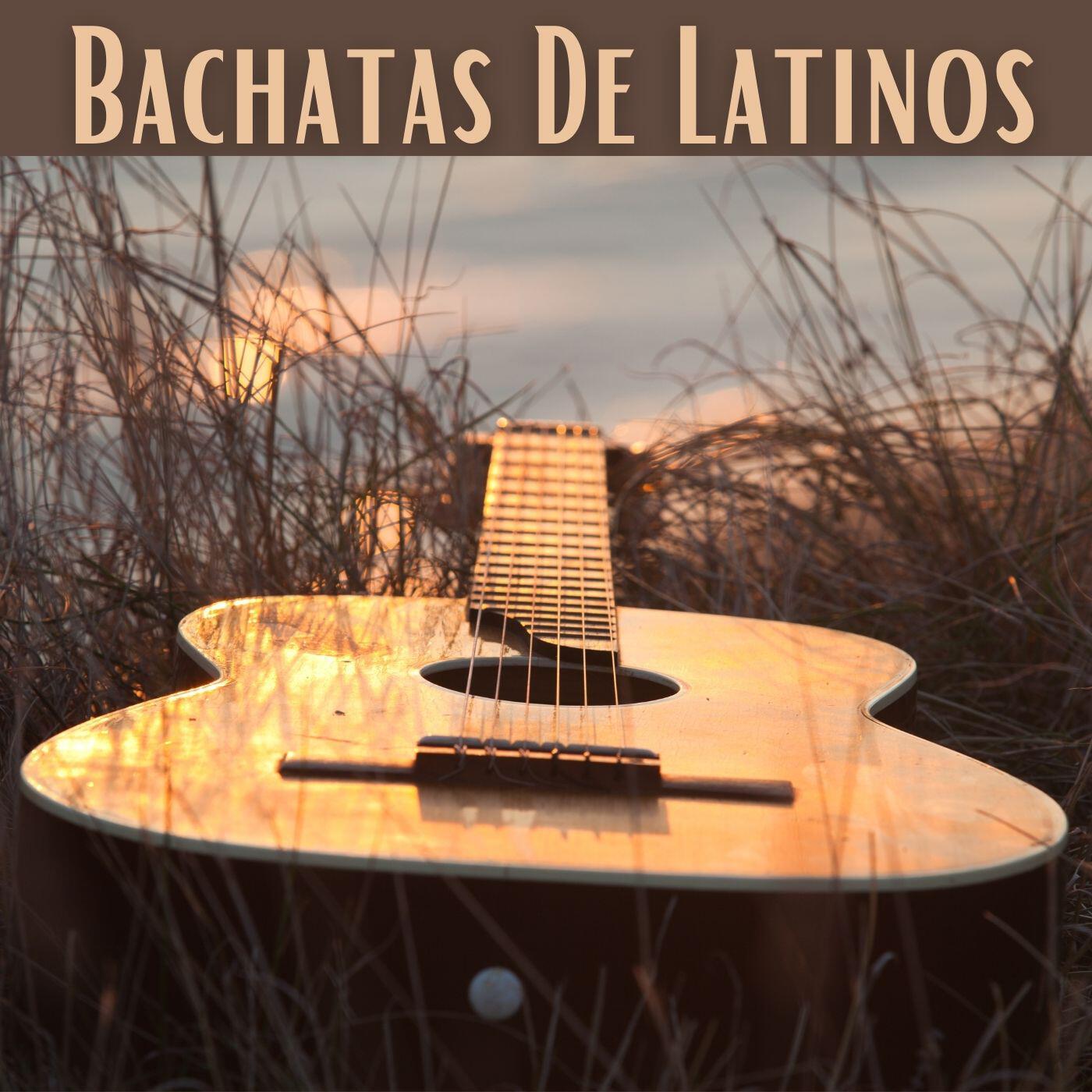 Релиз Bachatas de latinos