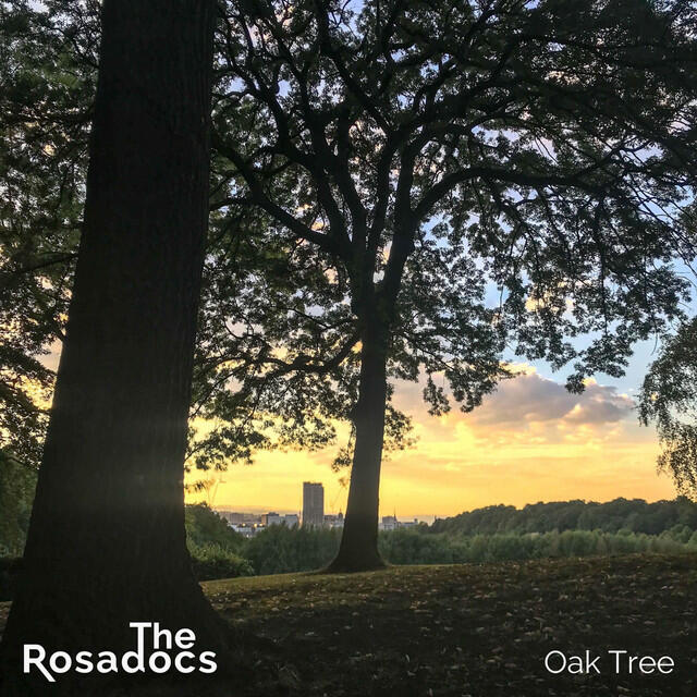 Релиз Oak Tree