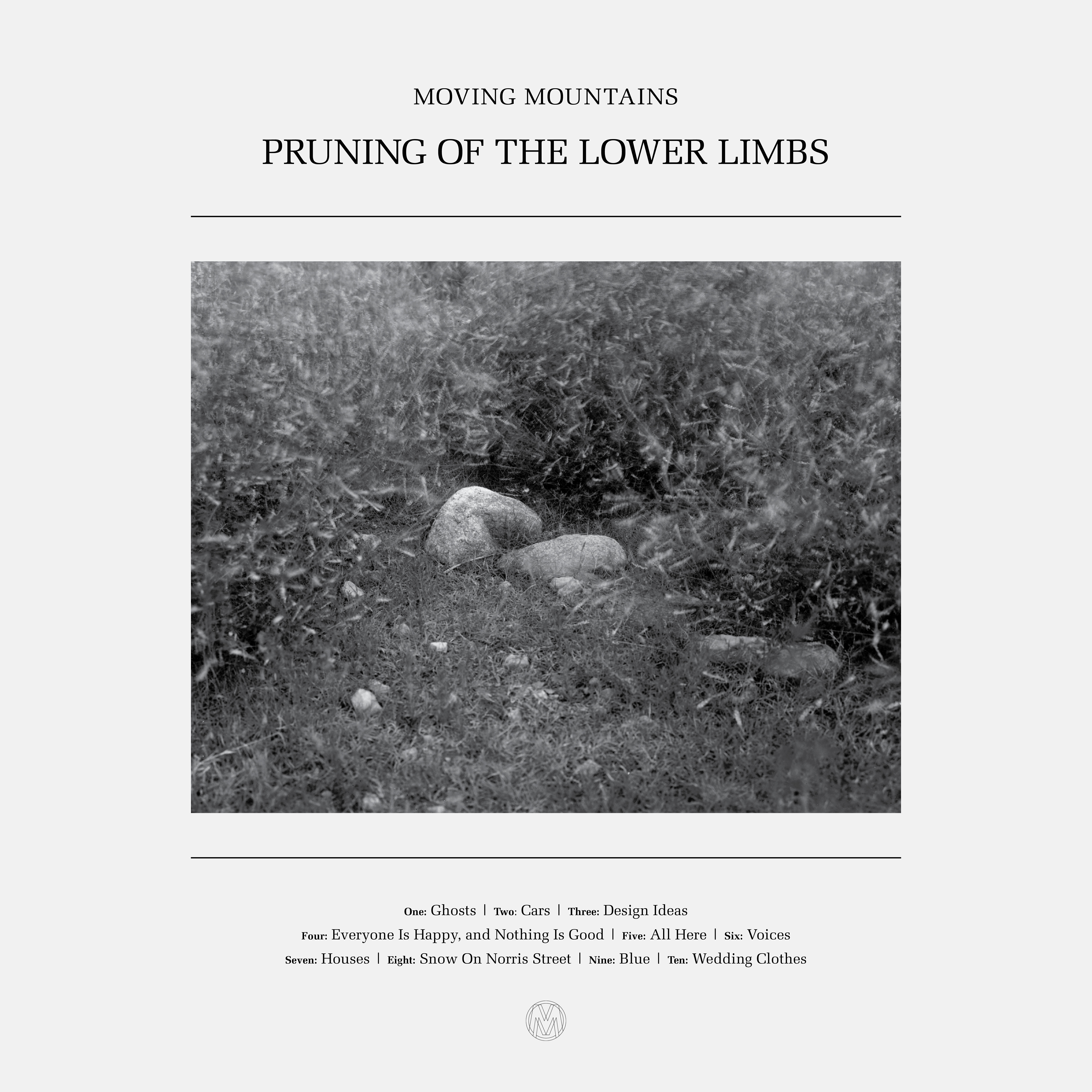 Релиз Pruning of the Lower Limbs