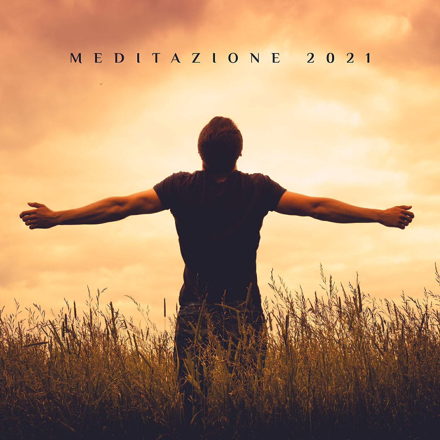Релиз Meditazione 2021: Chakra, Mantra, Musica di guarigione Reiki, Yoga rilassante, Consapevolezza