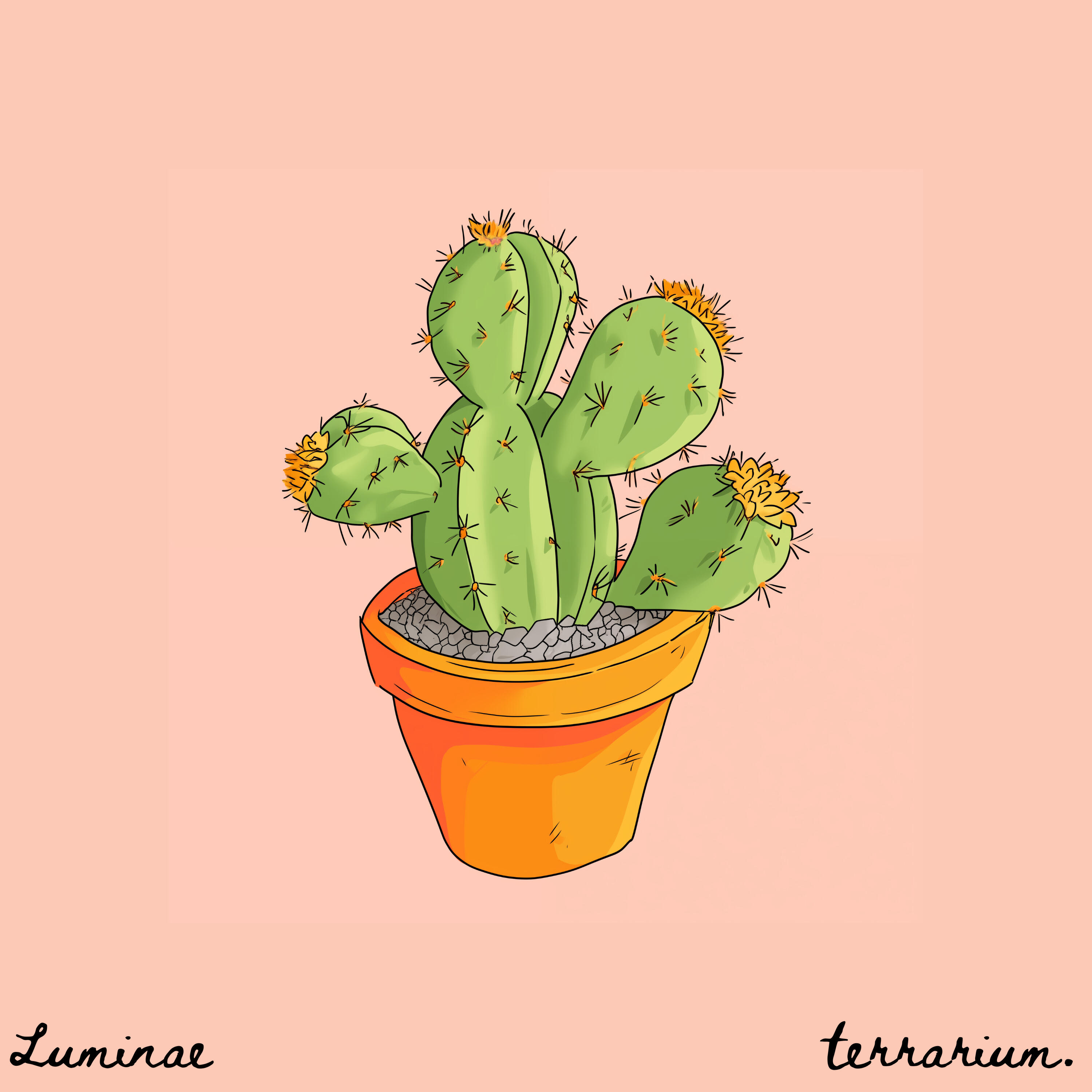 Релиз succulent