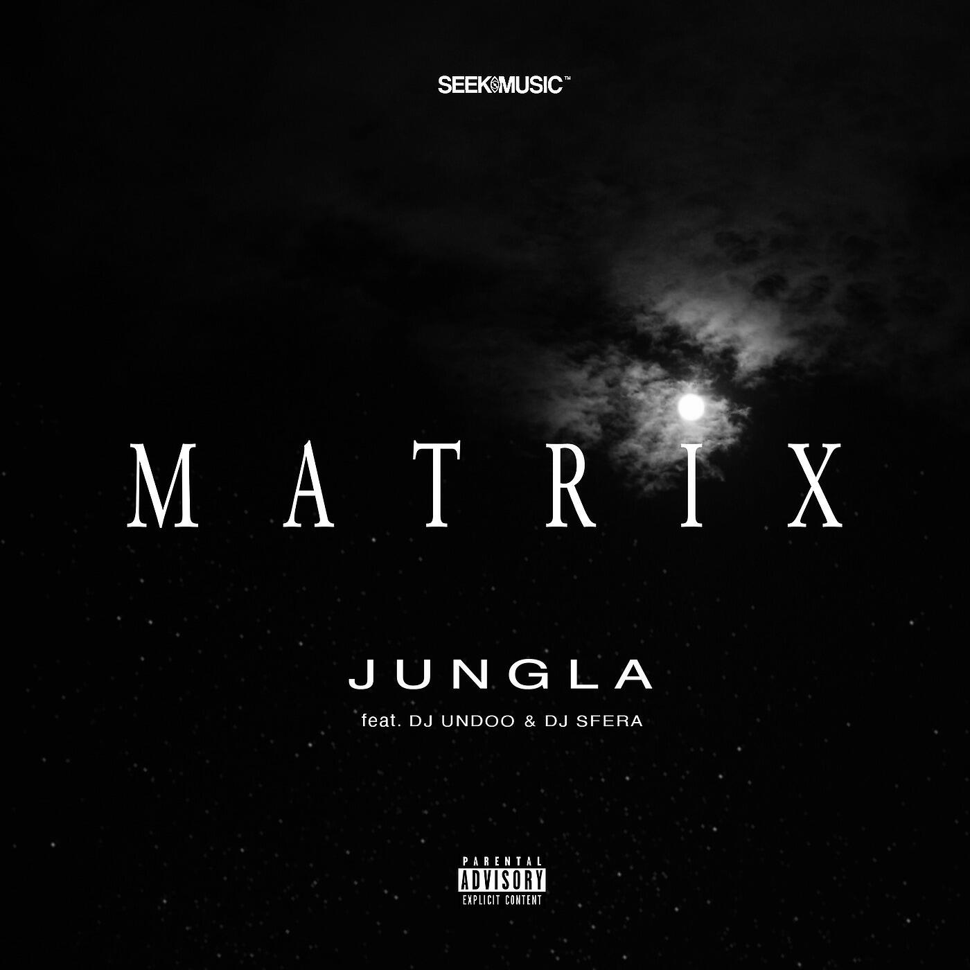Релиз Matrix
