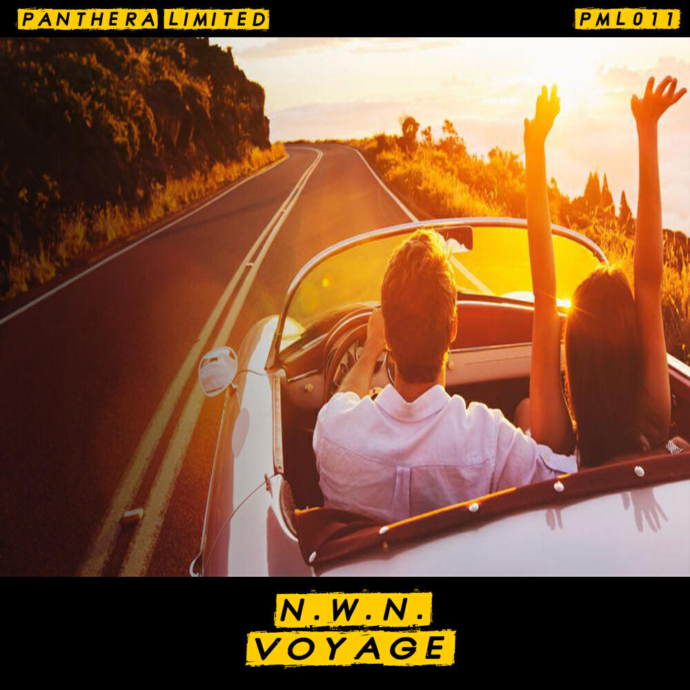 Релиз Voyage