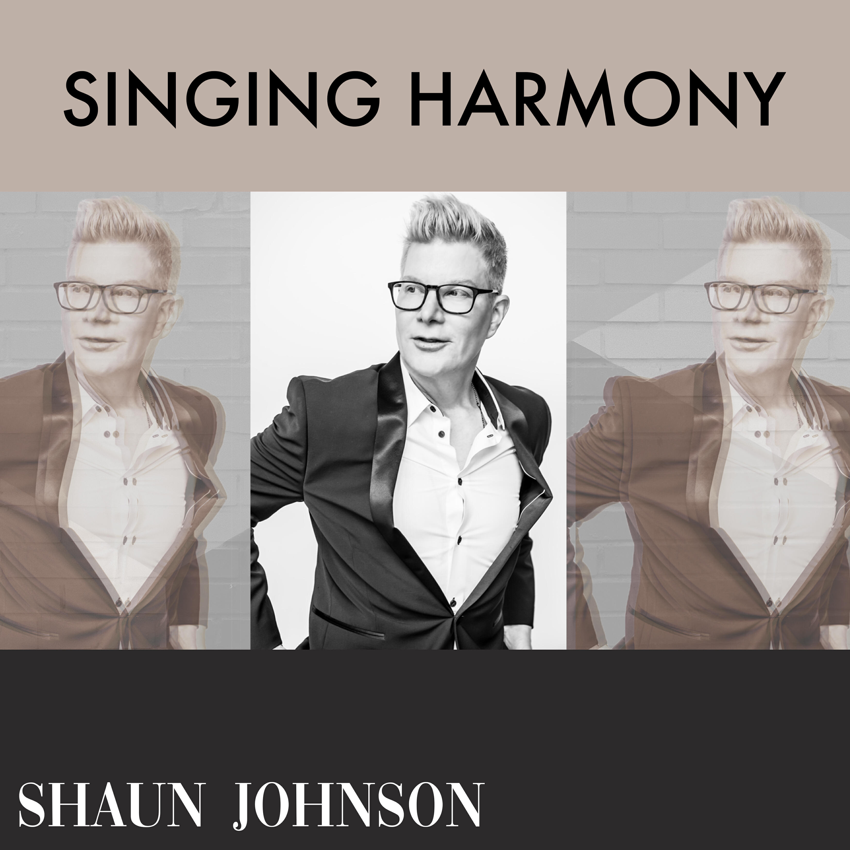Shaun Johnson Big Band Experience