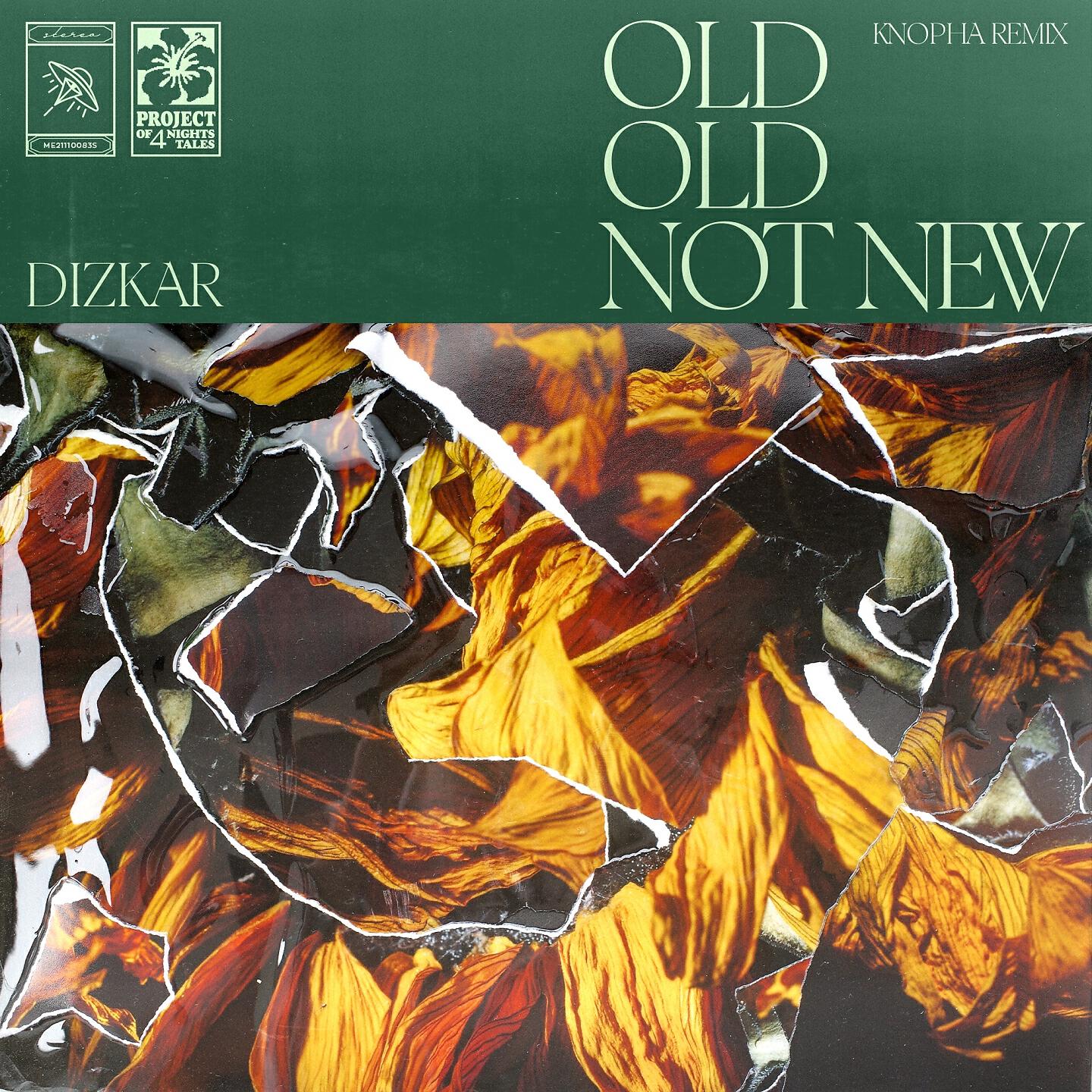 Скачать песню Dizkar, 李丁丁 - 过期 (Knopha Remix) бесплатно в MP3 для Android и iOS
