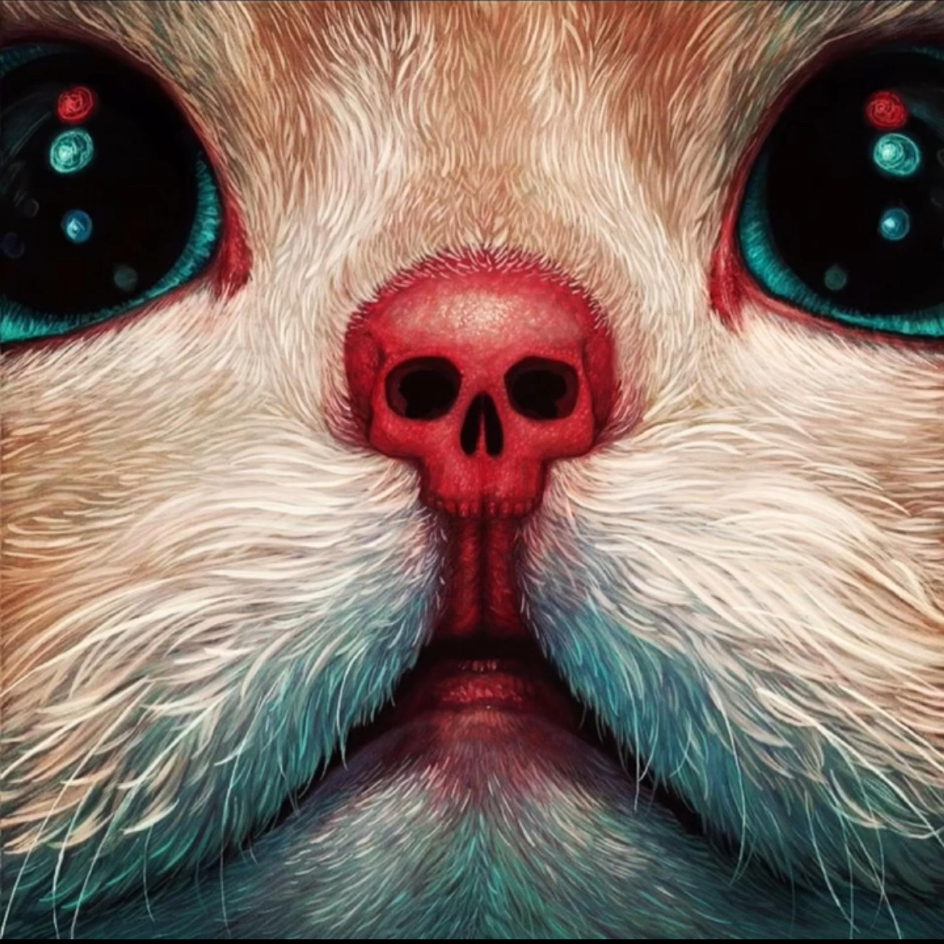 Релиз Кошки