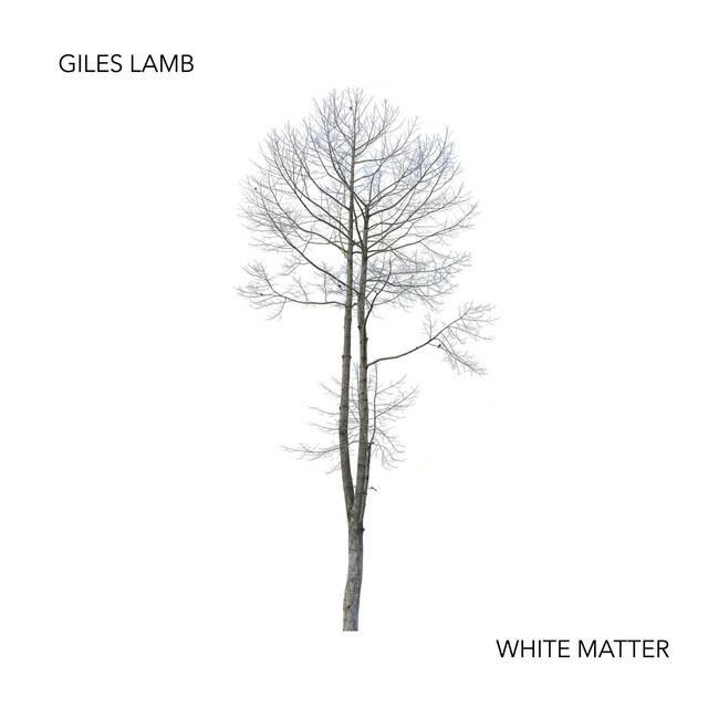 Релиз White Matter