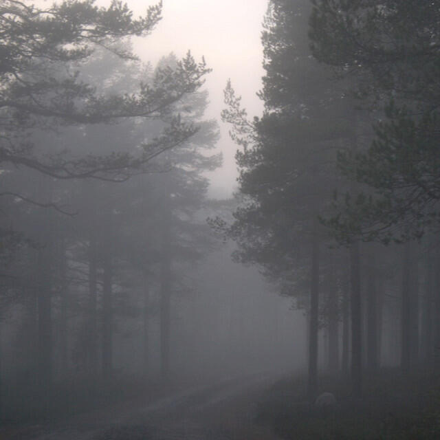 Релиз Rowan Road EP