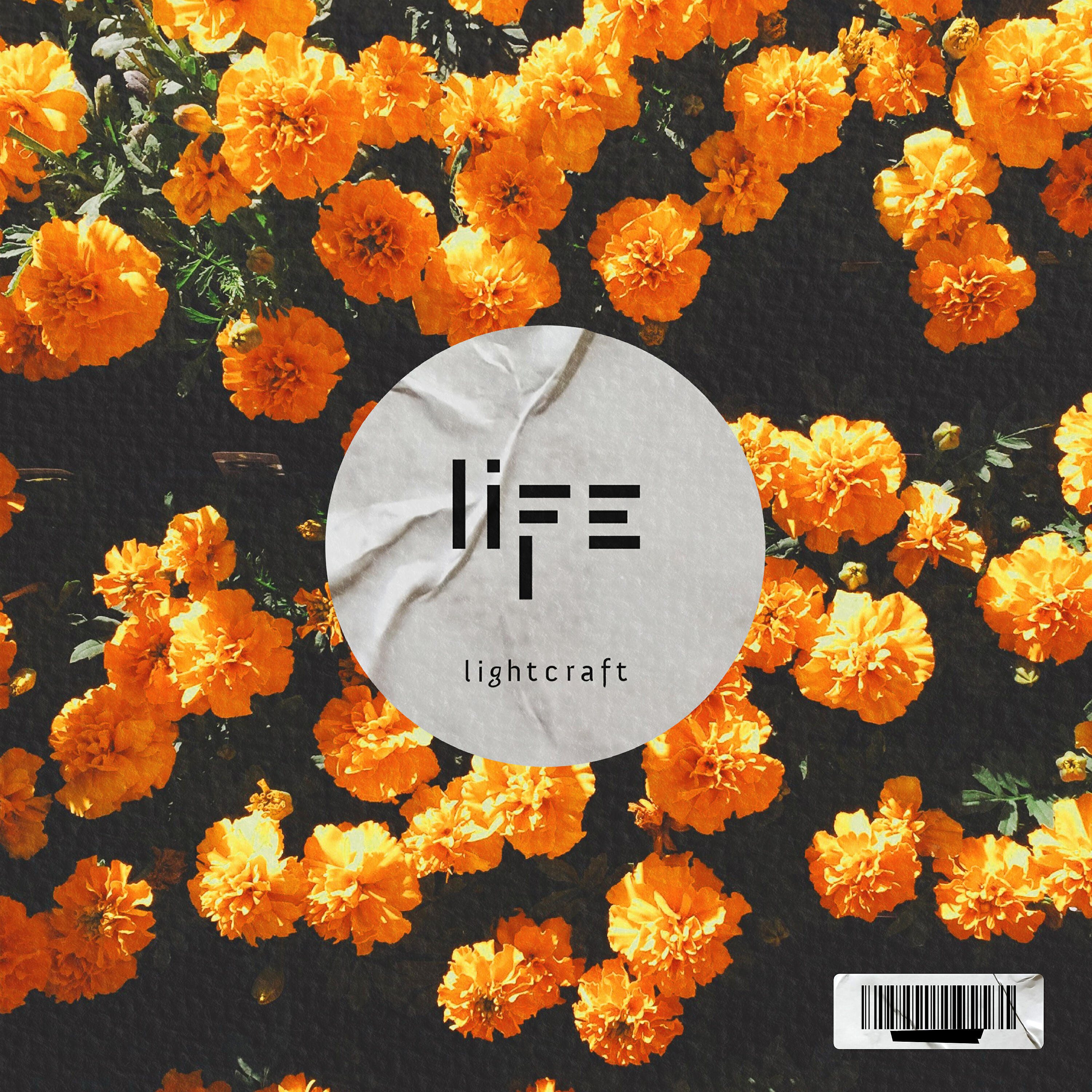 Релиз Life