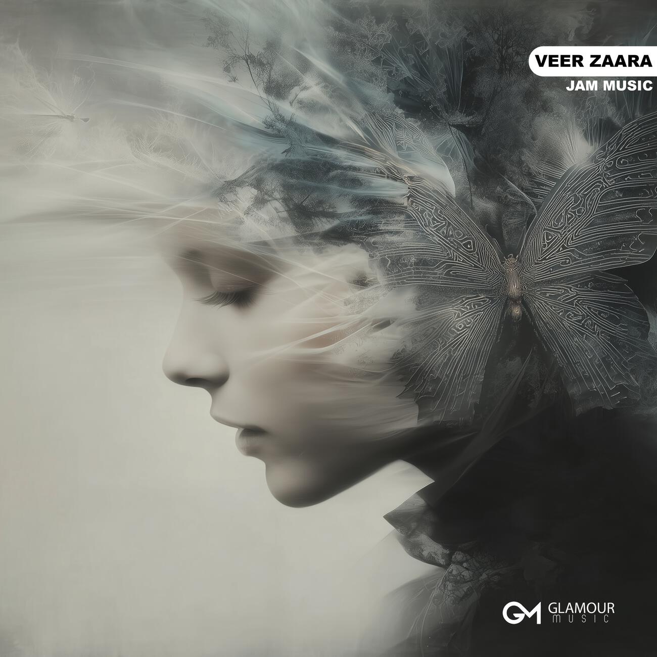 Релиз Veer Zaara