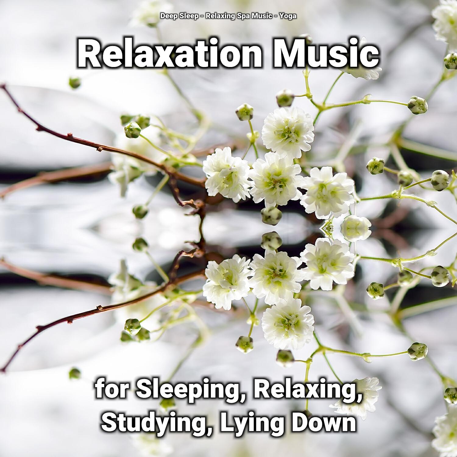 Постер альбома Relaxation Music for Sleeping, Relaxing, Studying, Lying Down