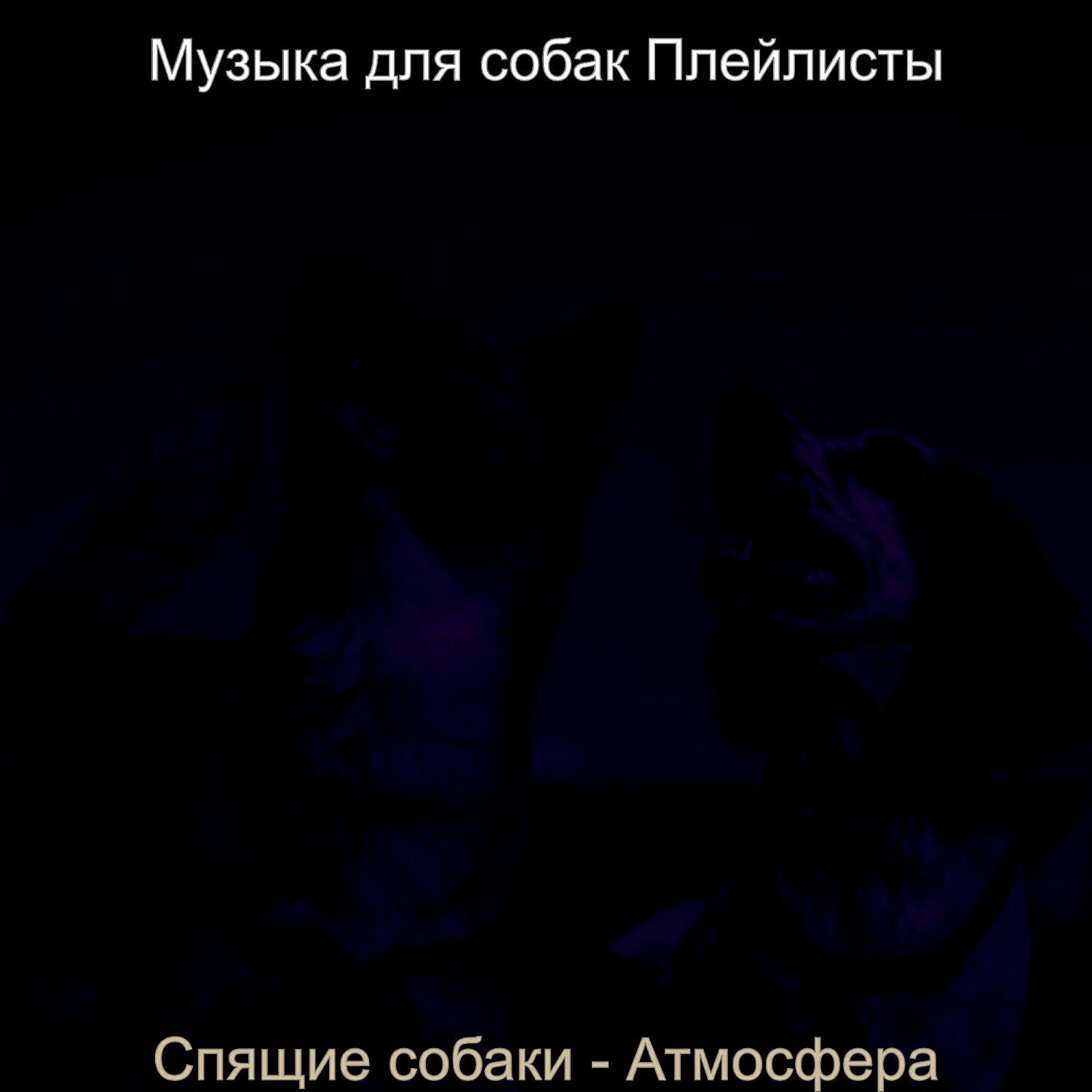 Постер альбома Спящие собаки - Атмосфера