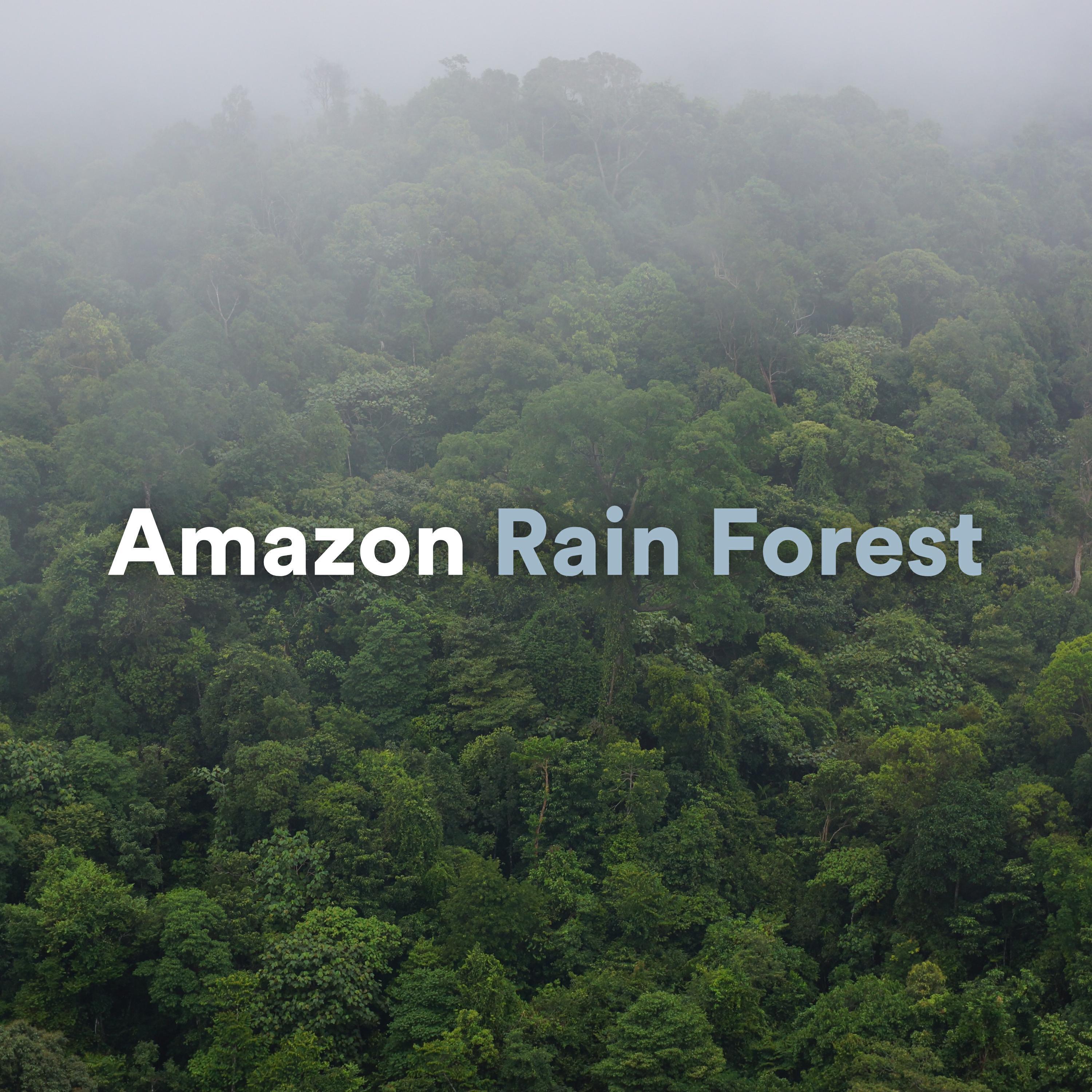 Rain Atmospheres