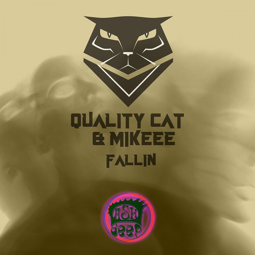 Quality Cat & Mikeee
