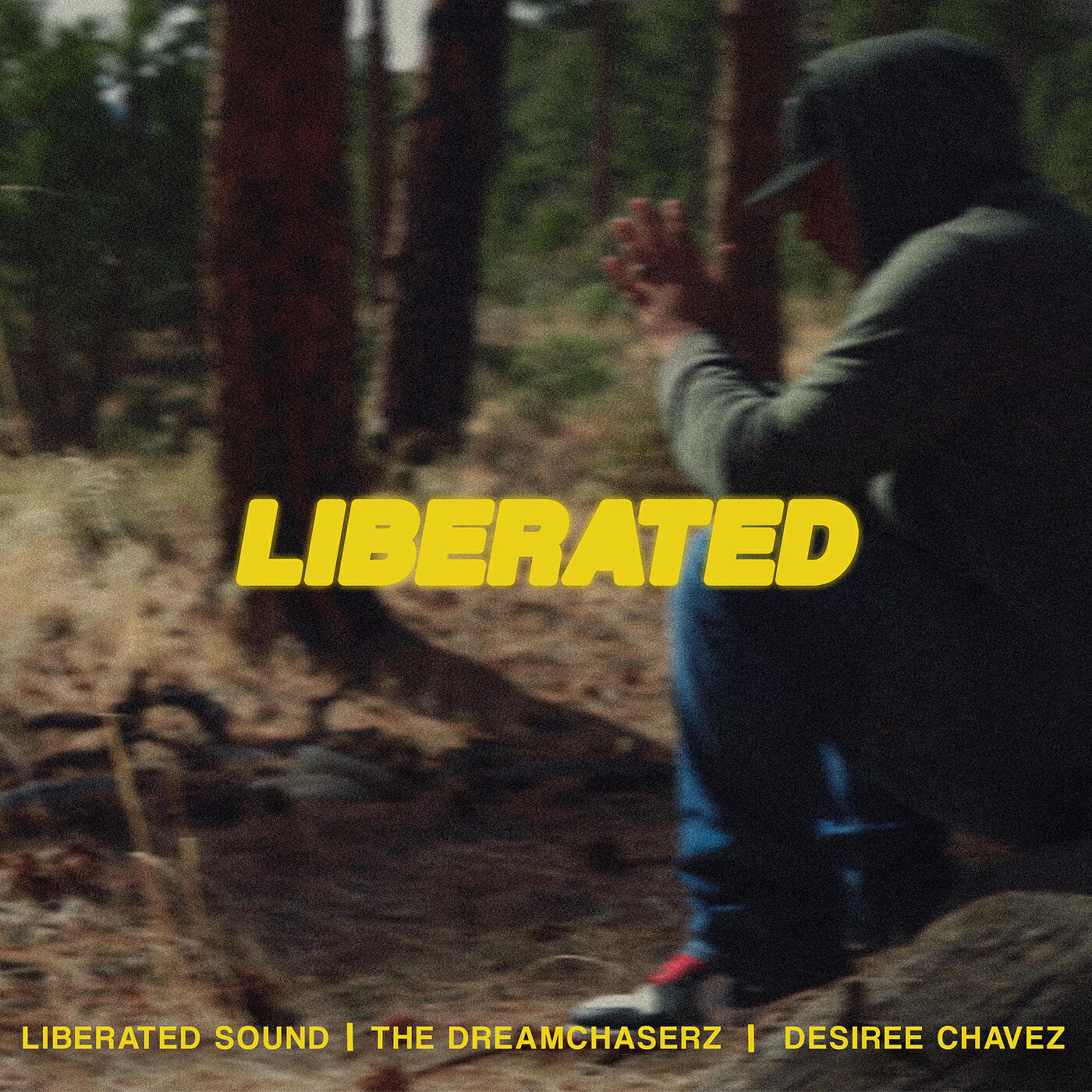 Релиз Liberated