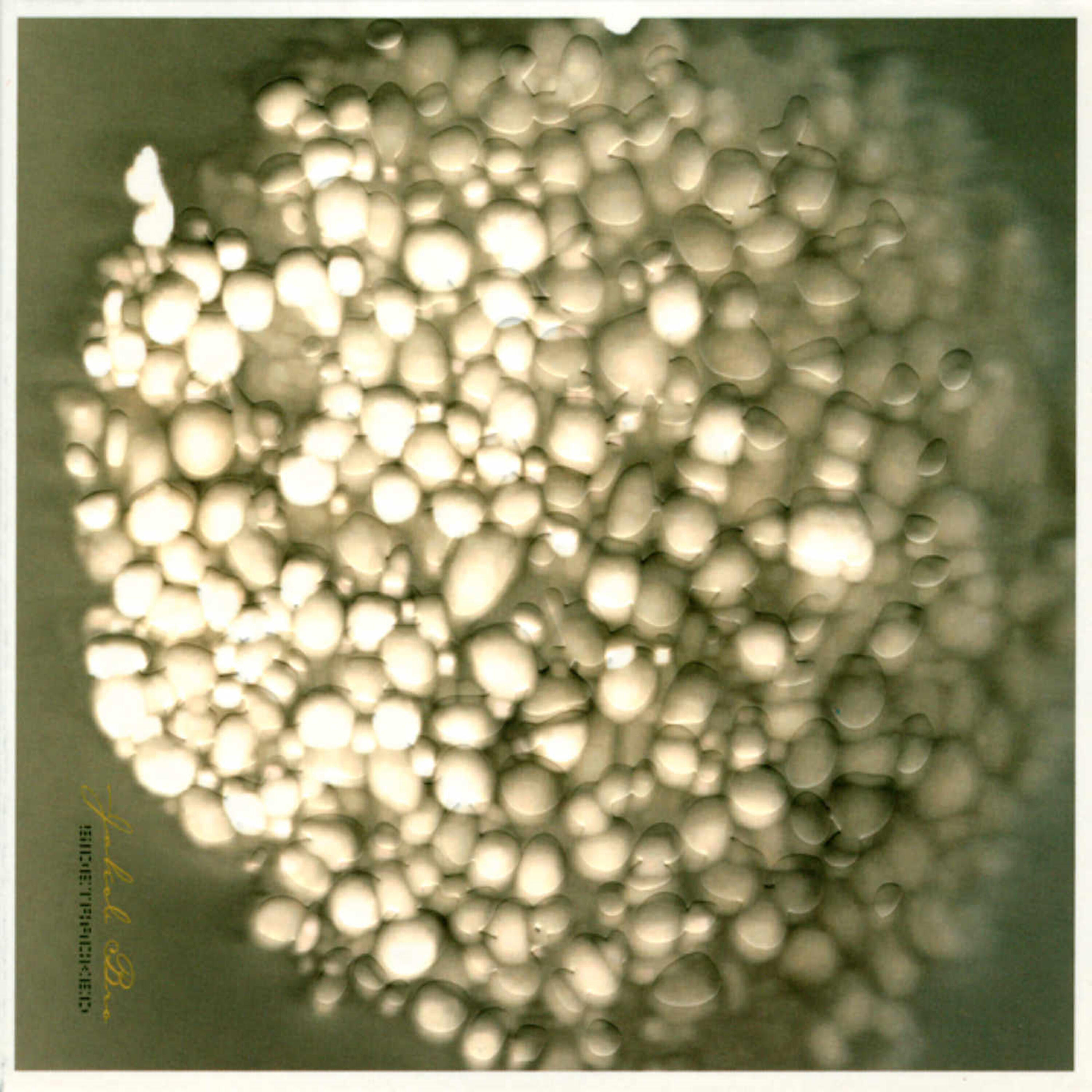 Релиз Sidetracked