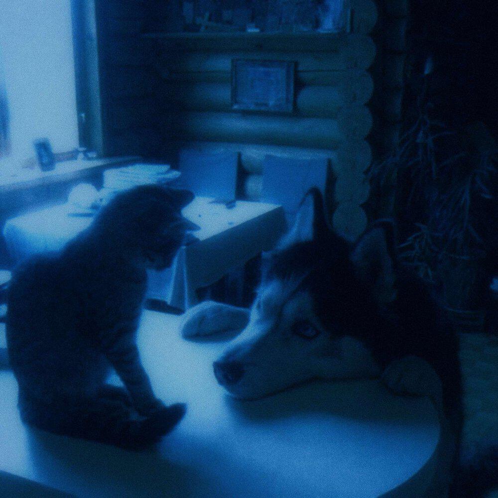 Релиз vanishing act