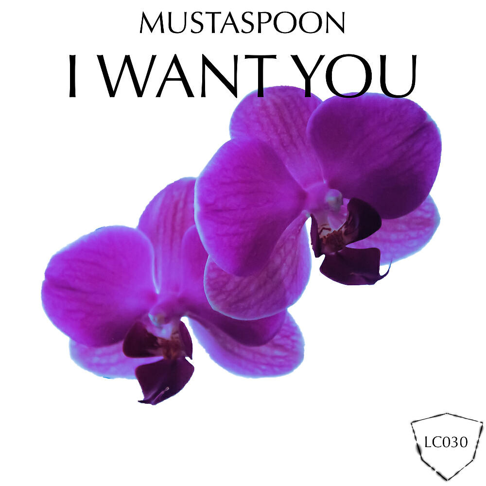Mustaspoon
