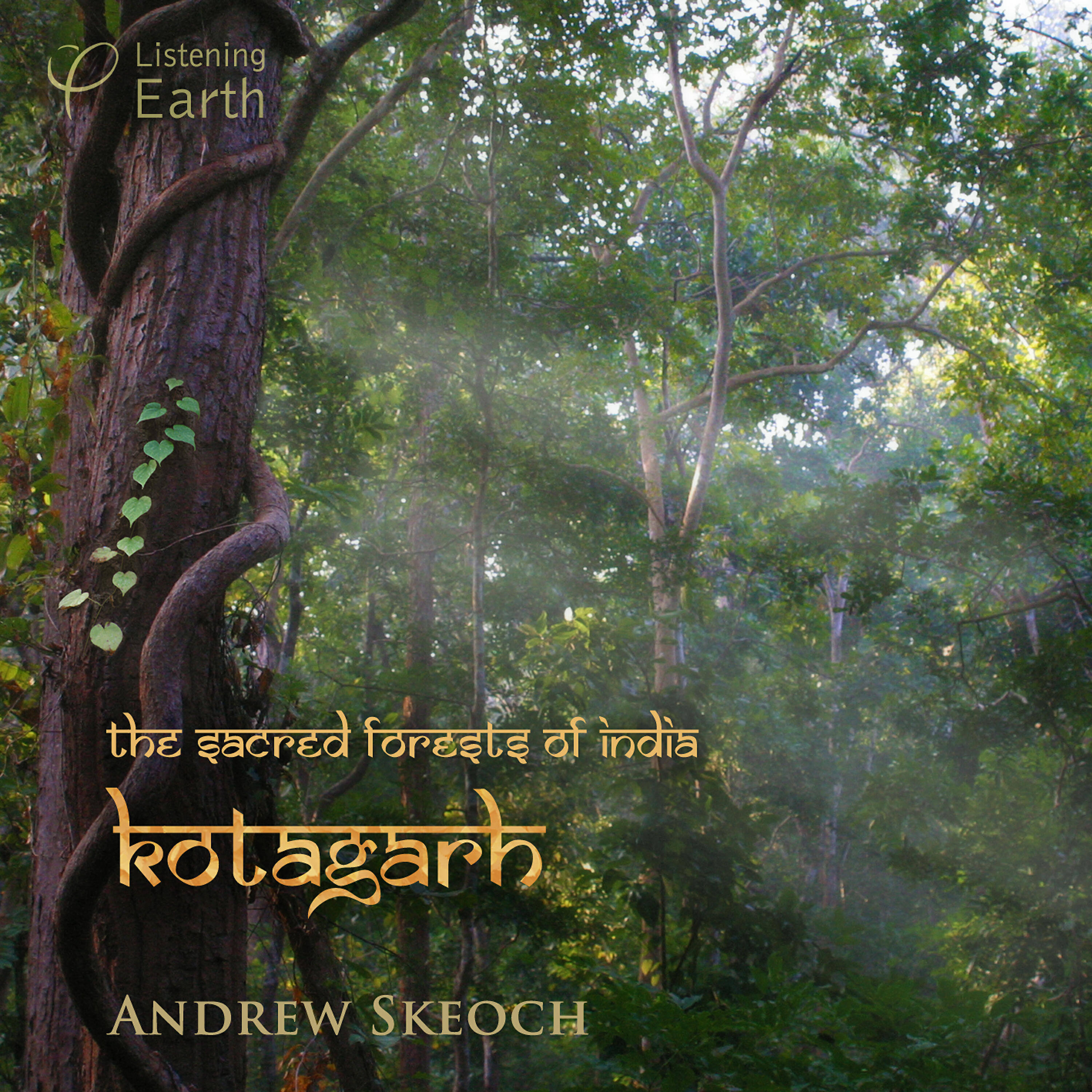 Релиз The Sacred Forests of India - Kotagarh