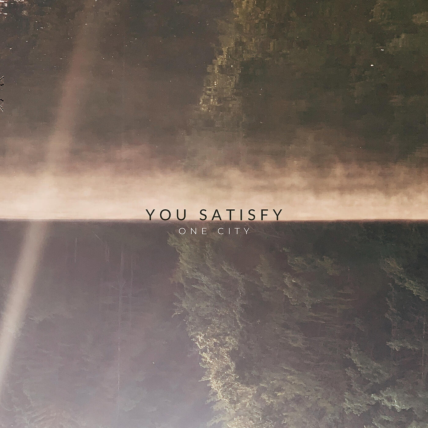 Релиз You Satisfy