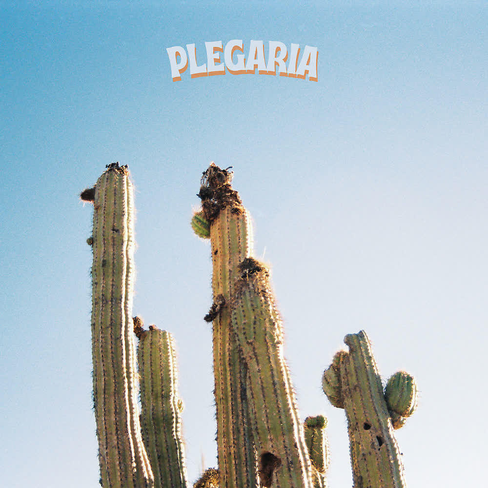 Релиз Plegaria