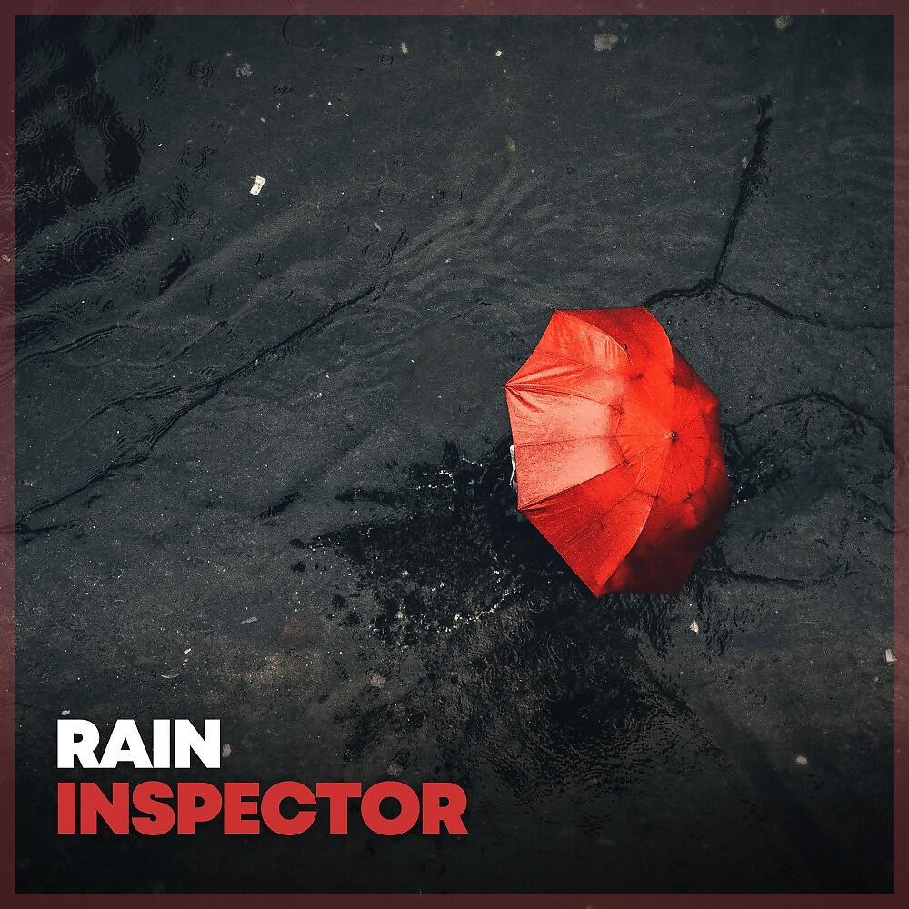 Релиз Rain Inspector