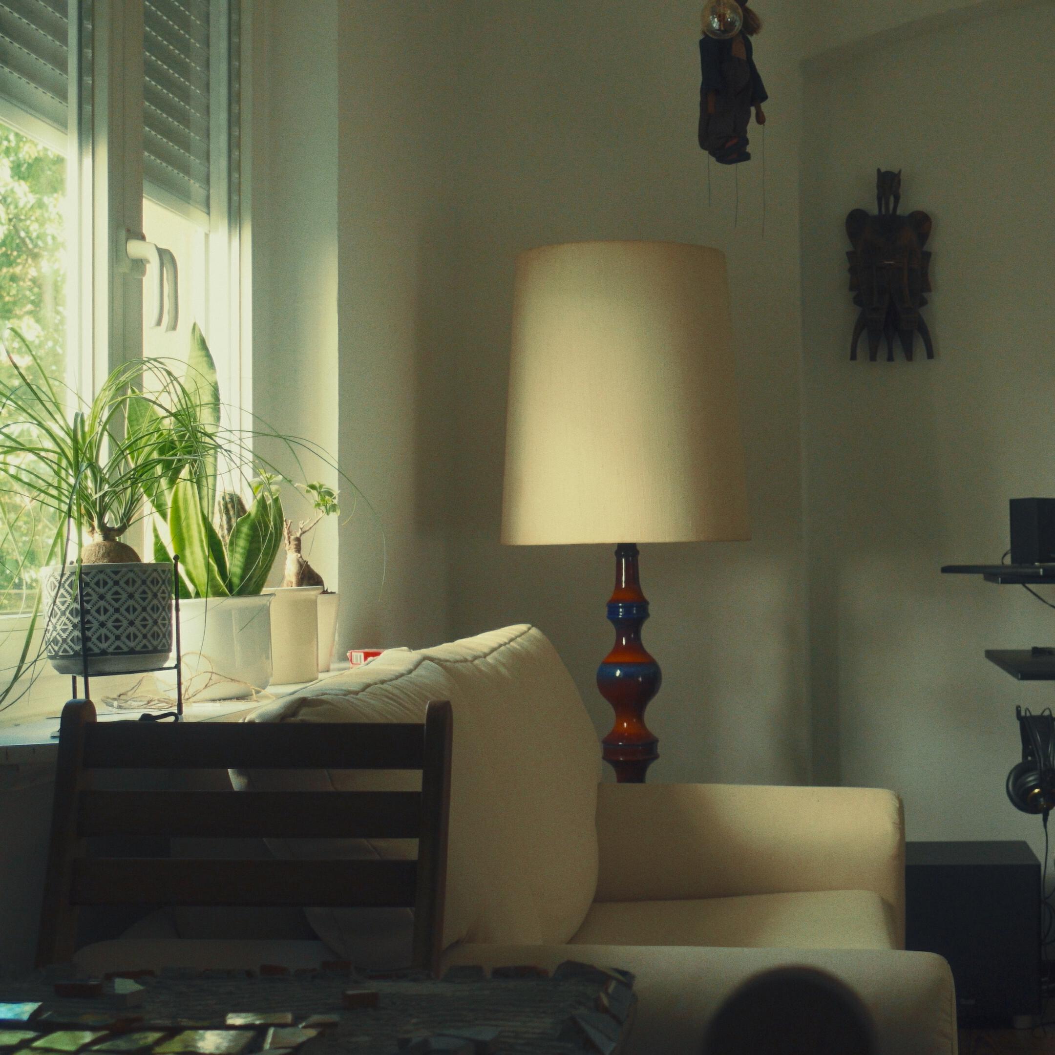 Релиз Haus ohne Dach