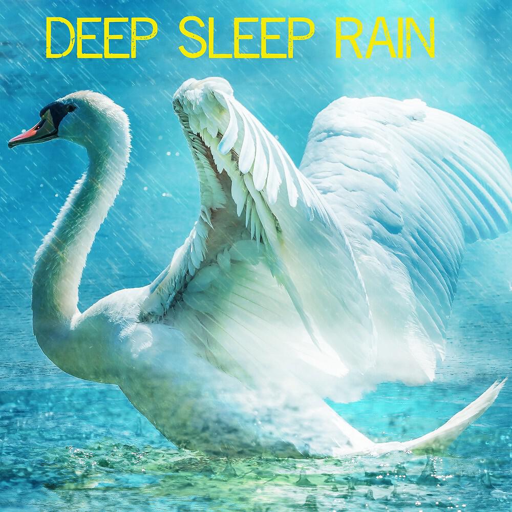 Релиз Deep Sleep Rain