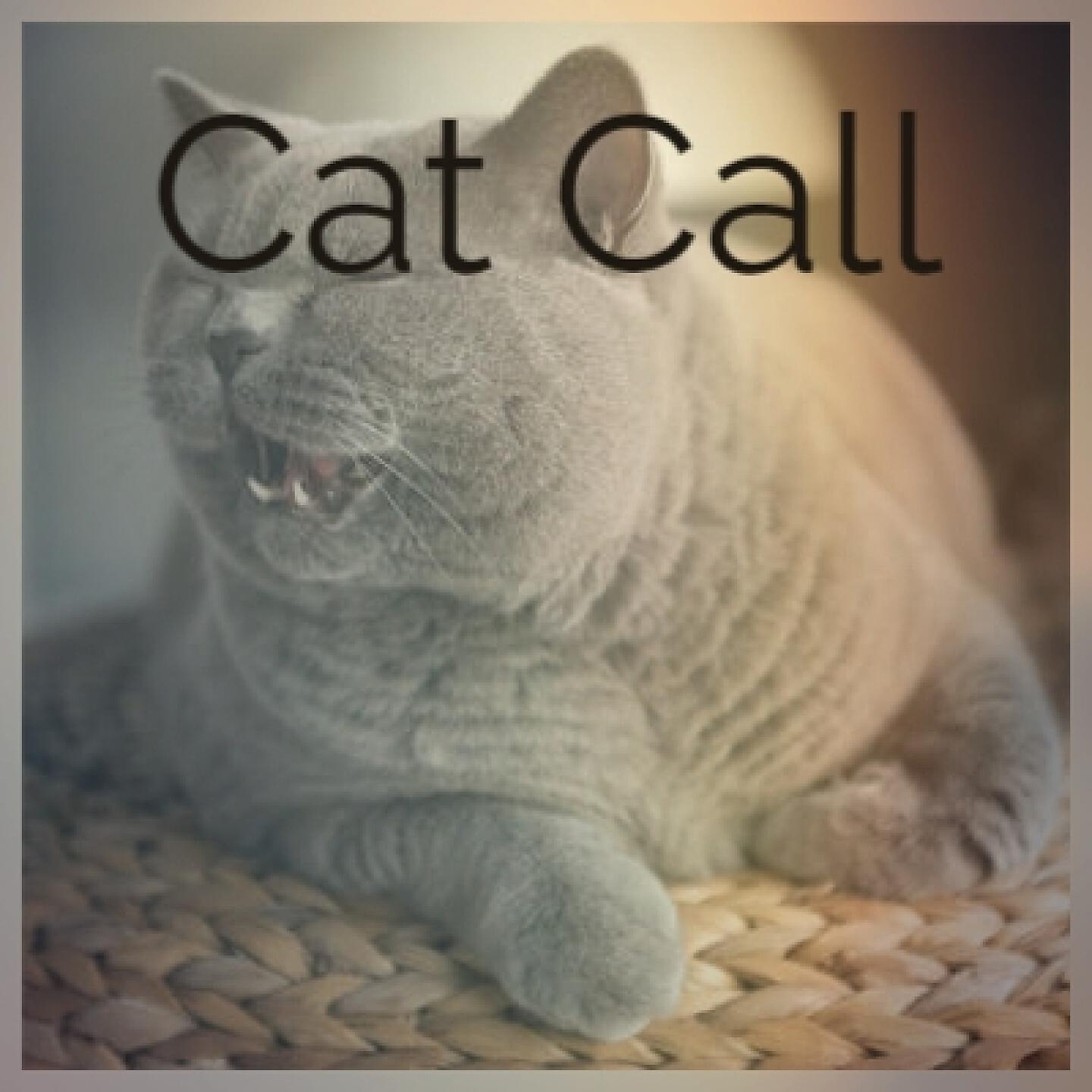 Релиз Cat Call