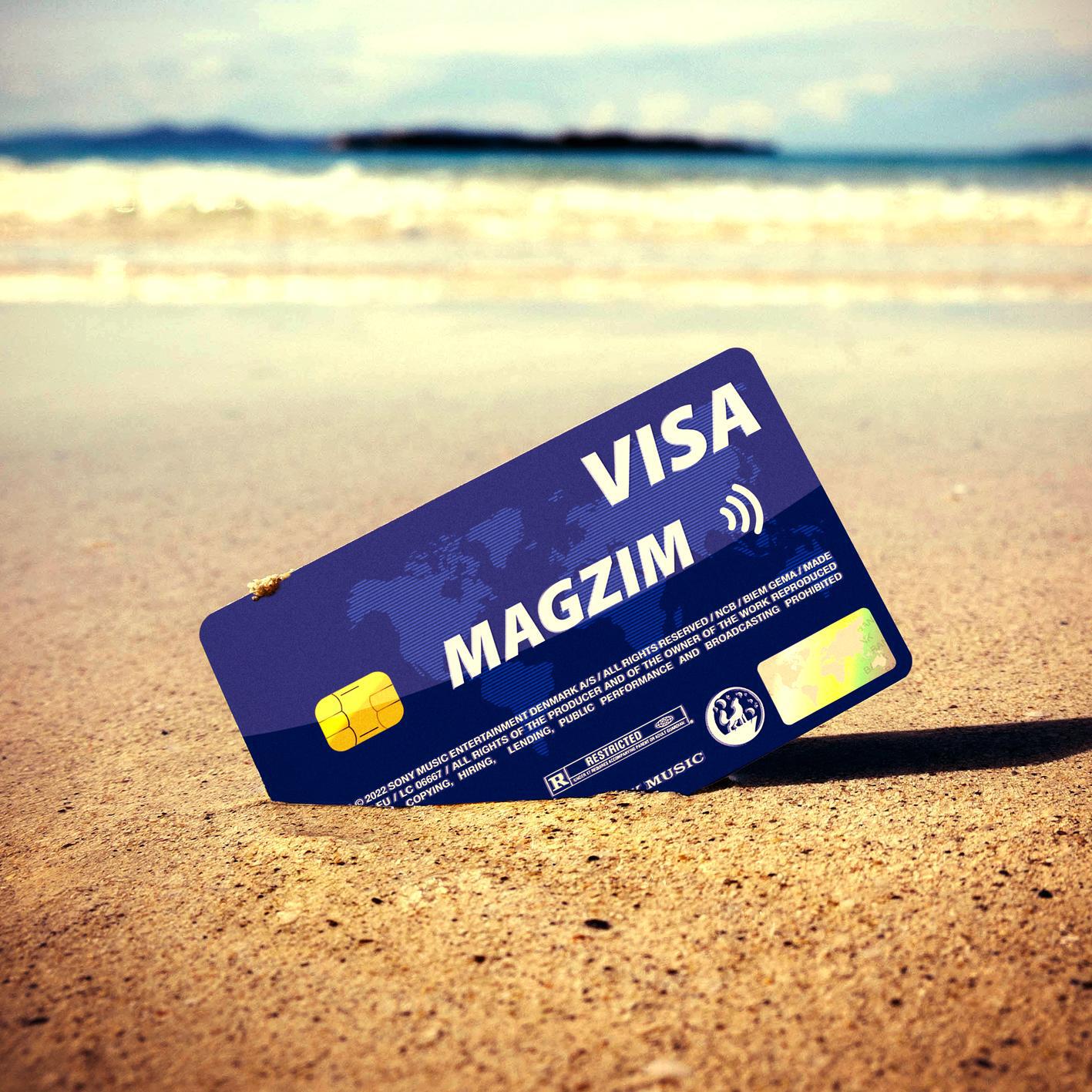 Релиз Visa