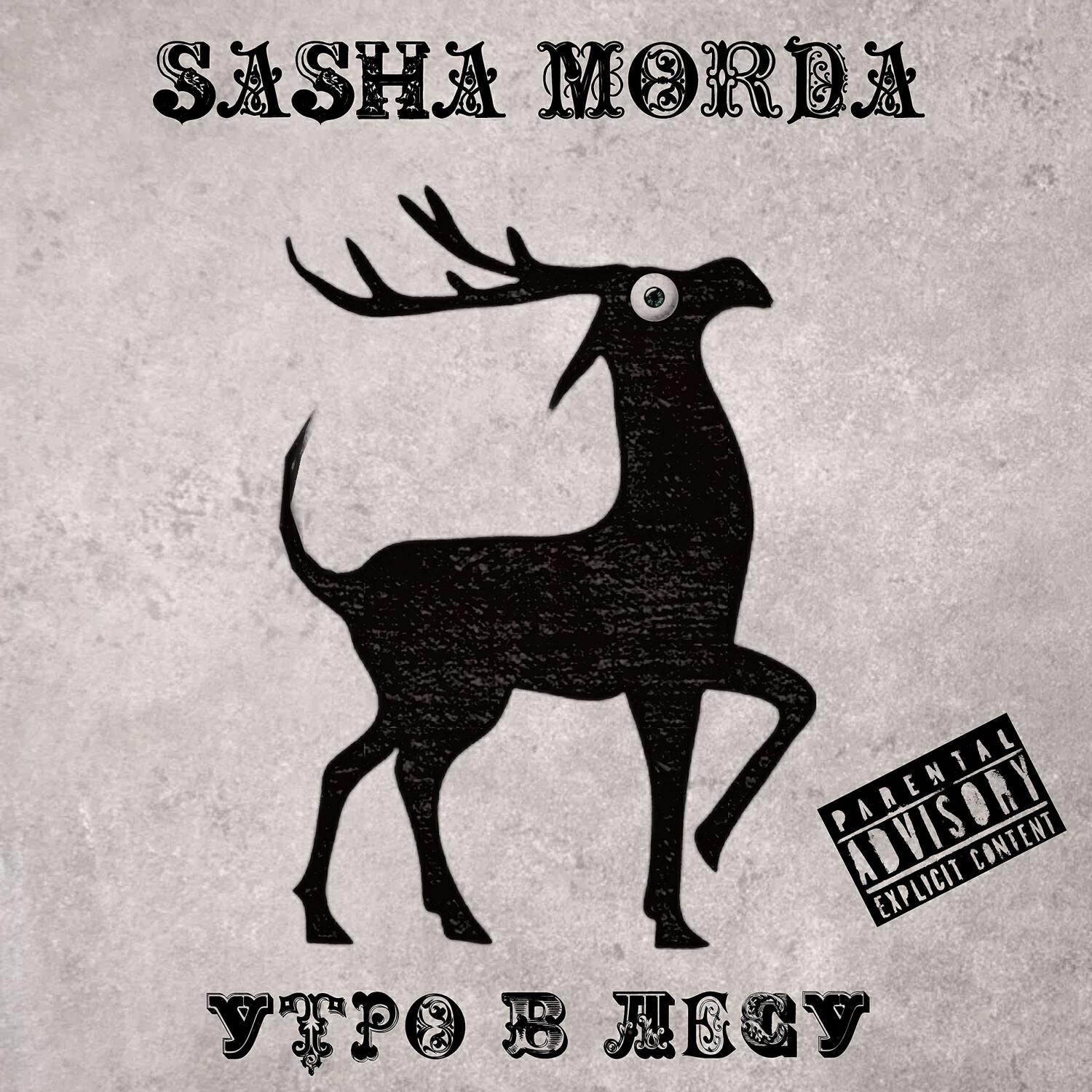 Релиз Утро в лесу