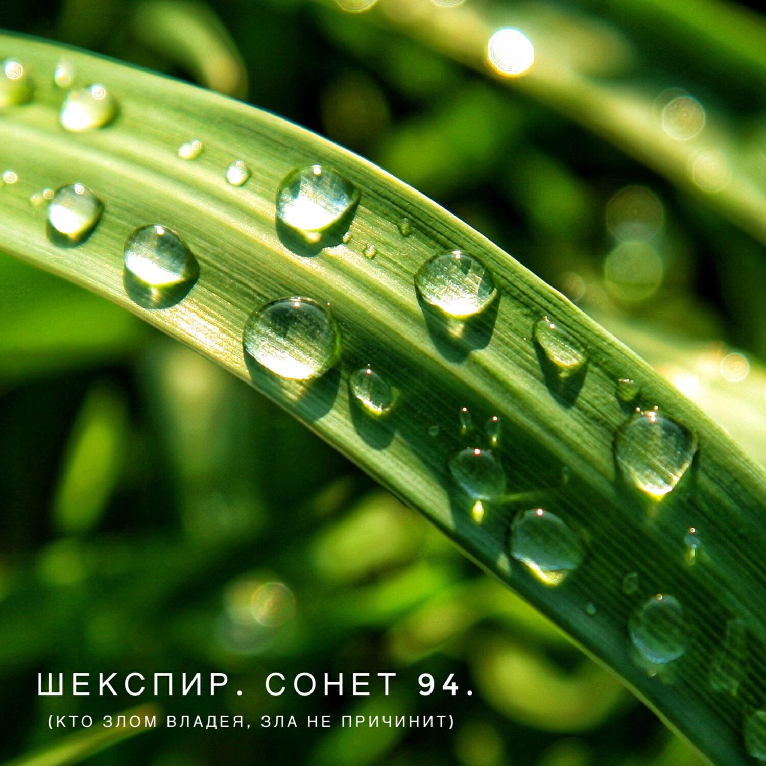 Релиз Шекспир. Сонет 94. (Кто злом владея, зла не причинит)