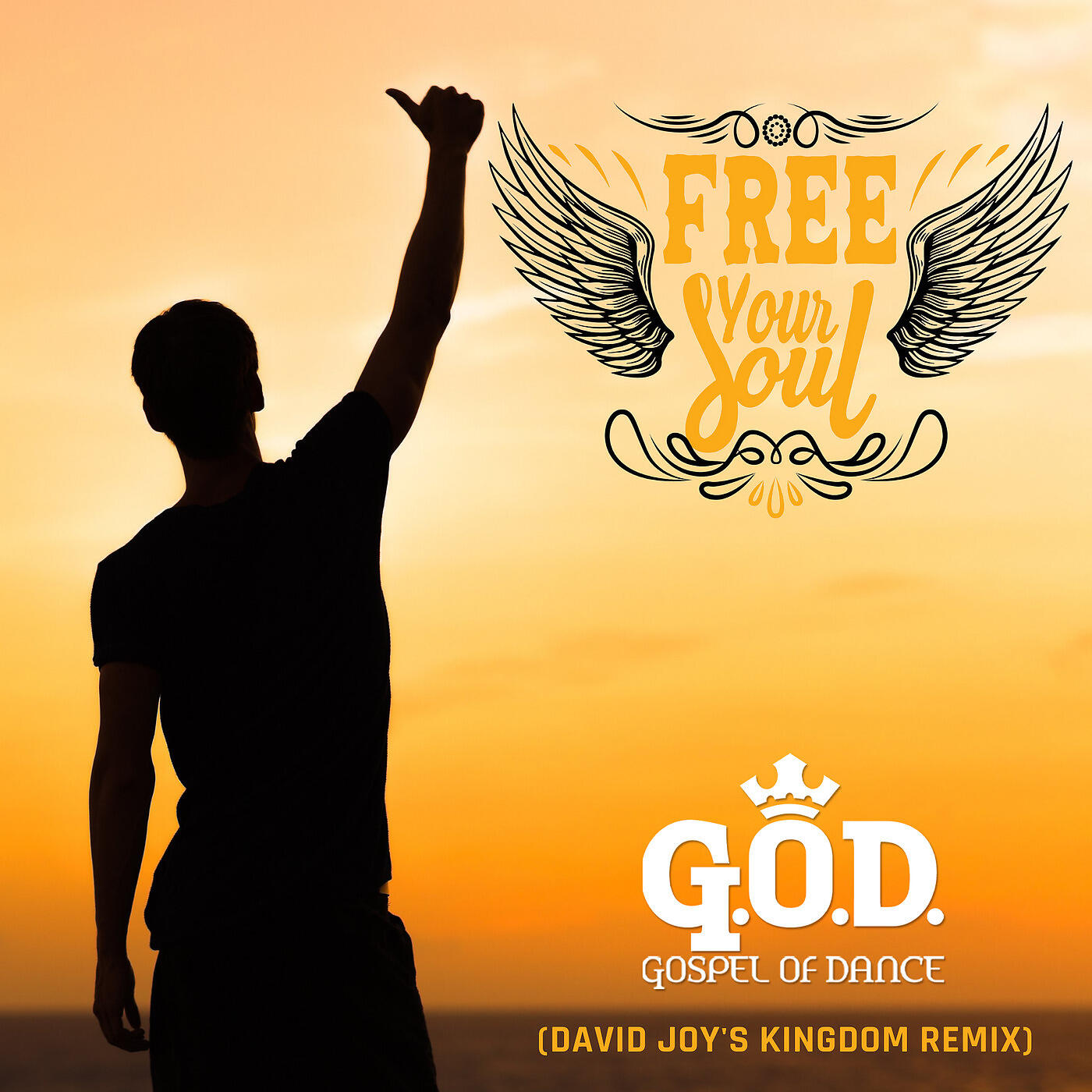 Релиз Free Your Soul (David Joy's Kingdom Remix)