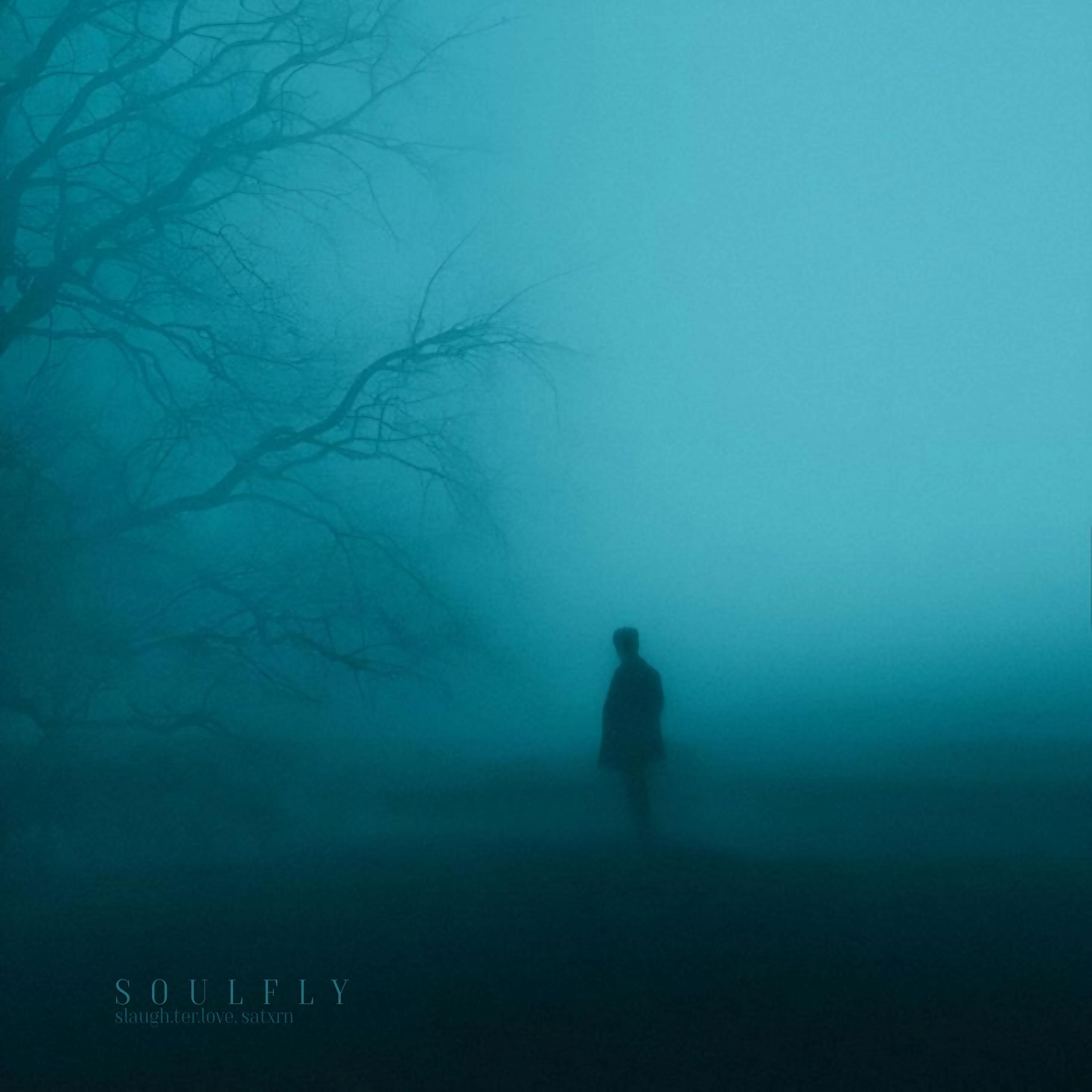Релиз soulfly