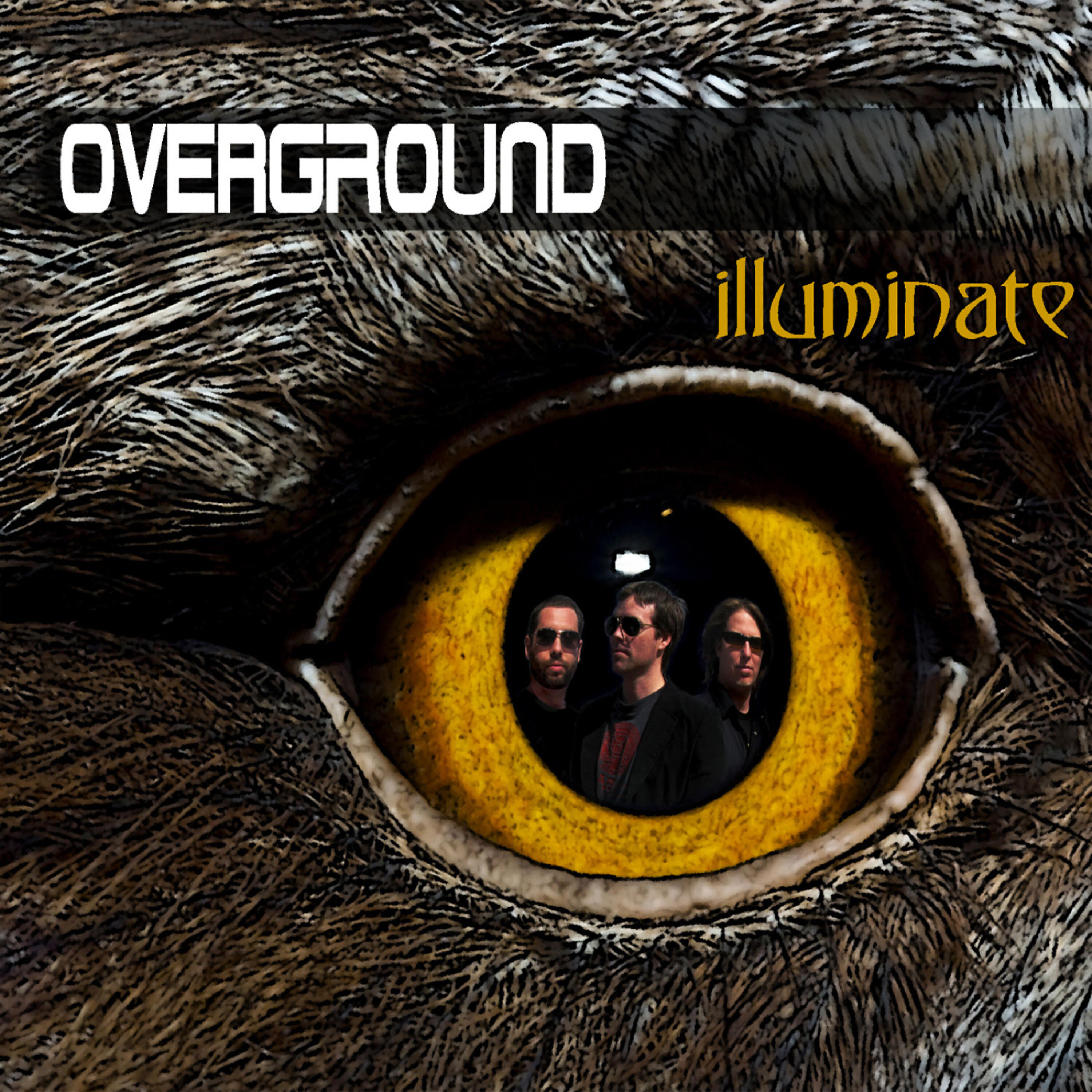 Релиз Illuminate