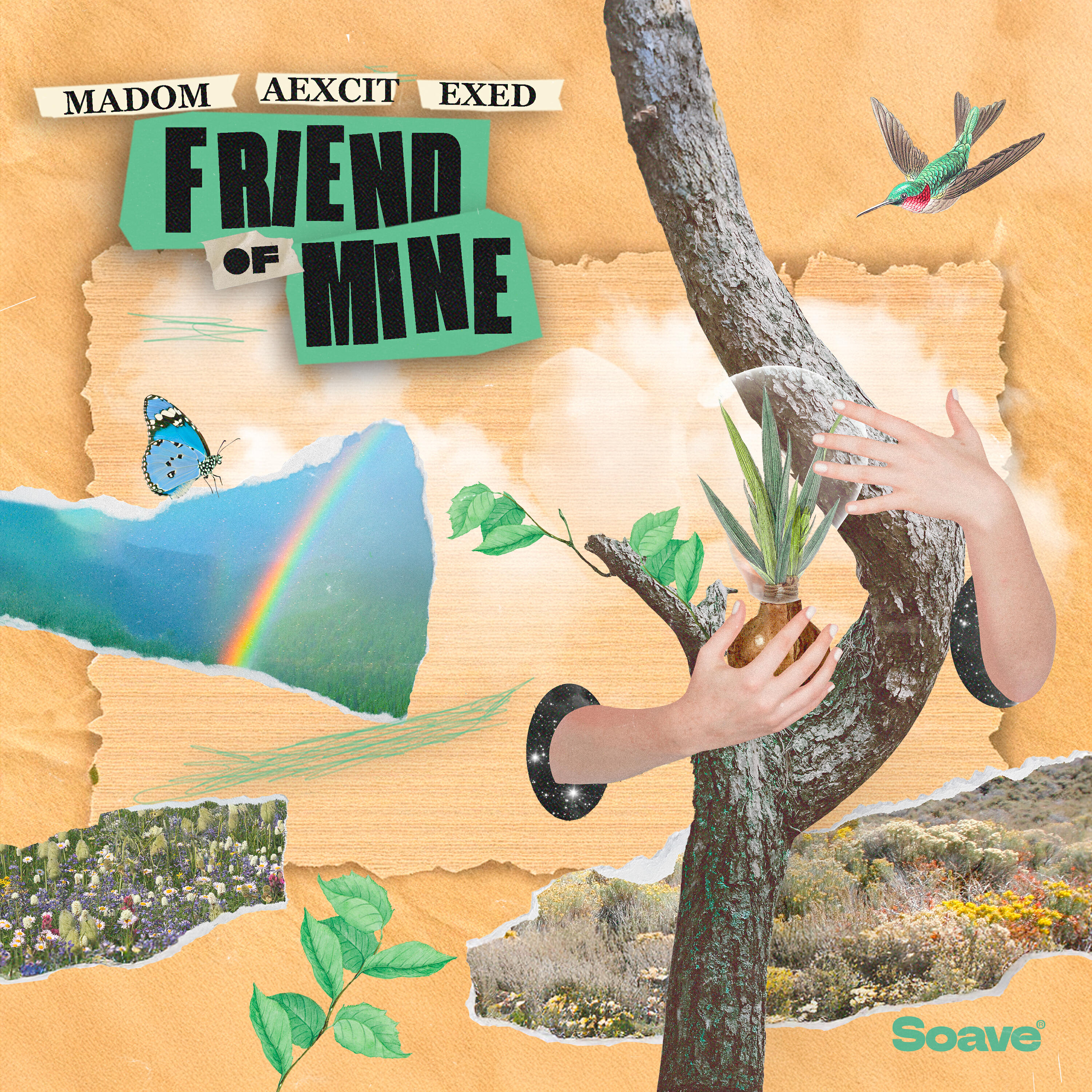 Релиз Friend Of Mine