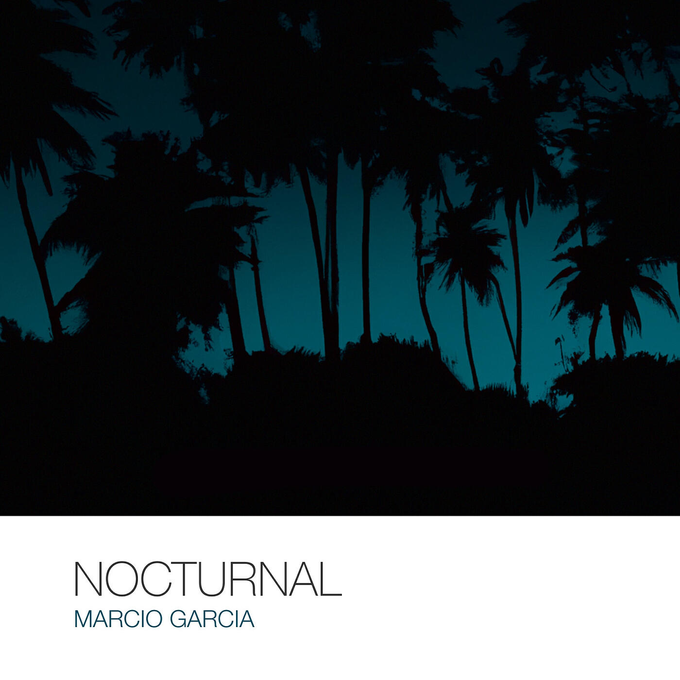 Релиз Nocturnal