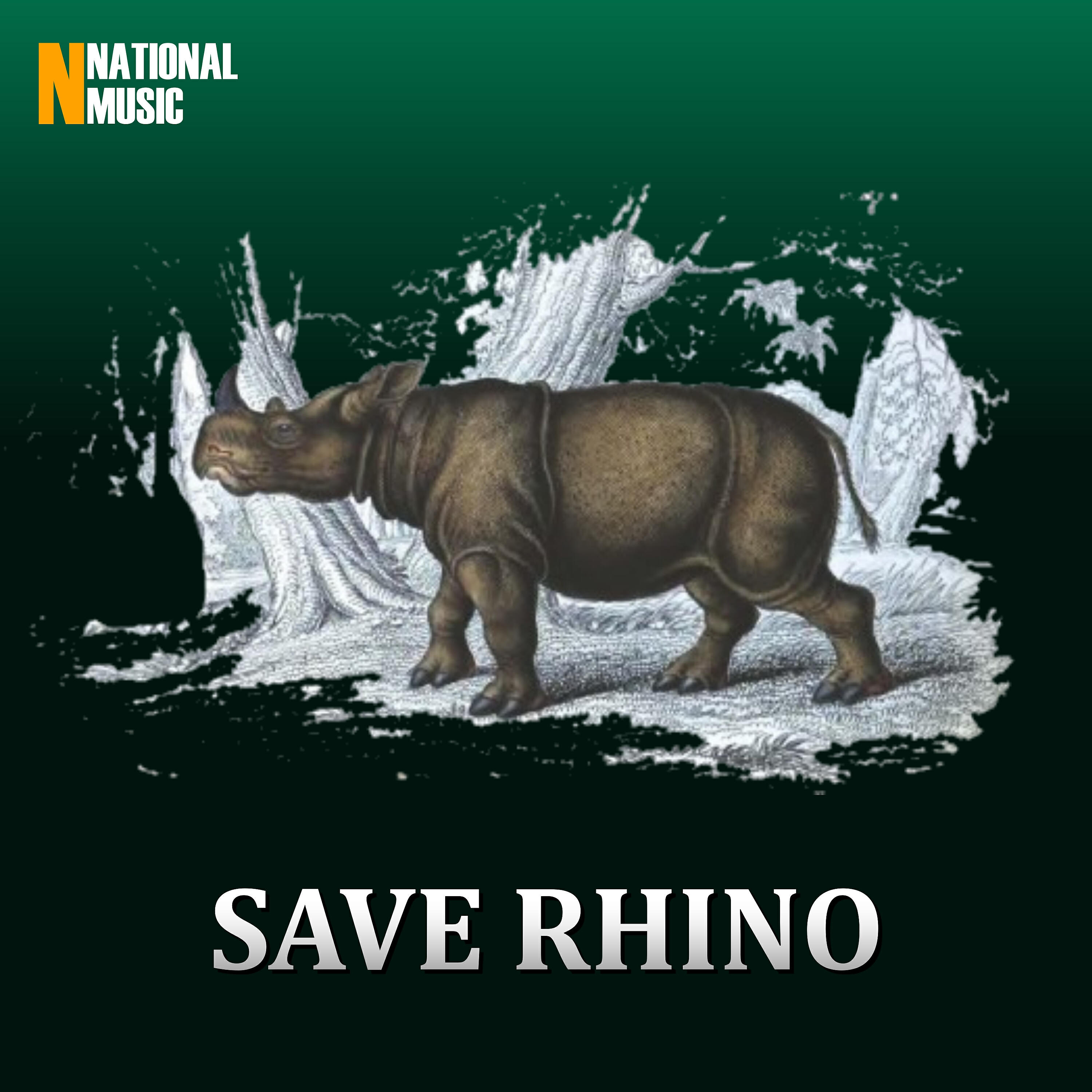 Релиз Save Rhino - Single