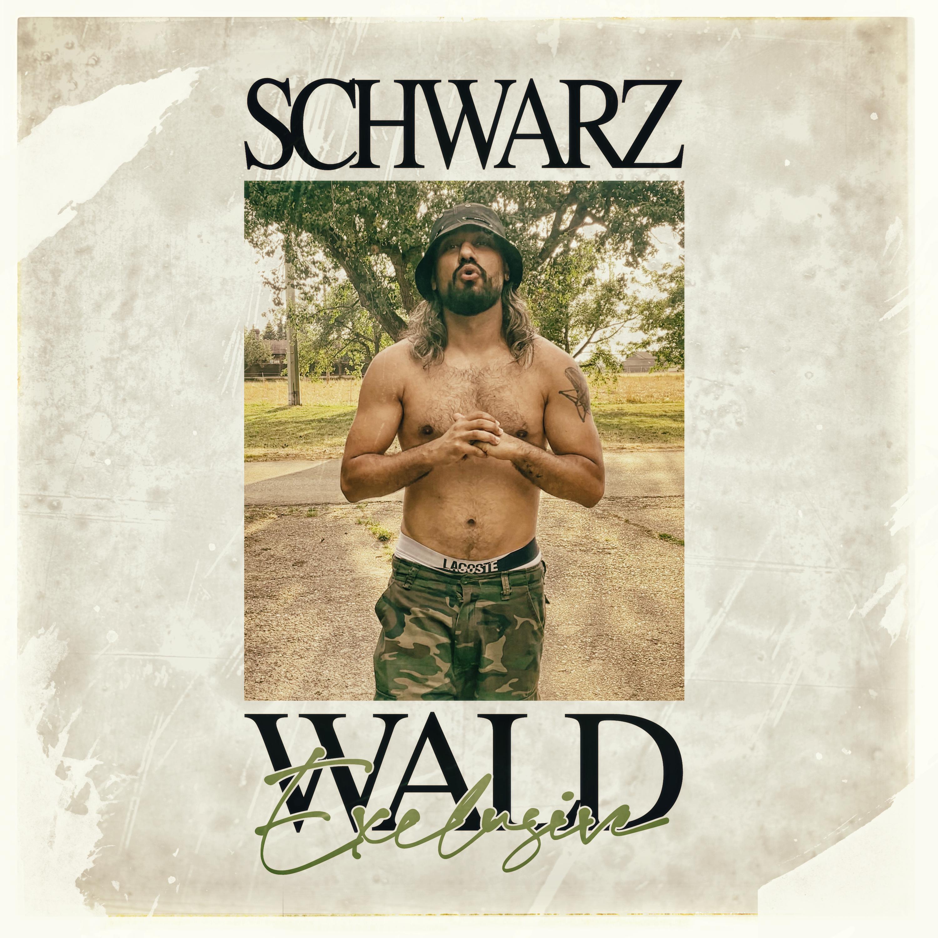 Релиз Schwarzwald Freestyle
