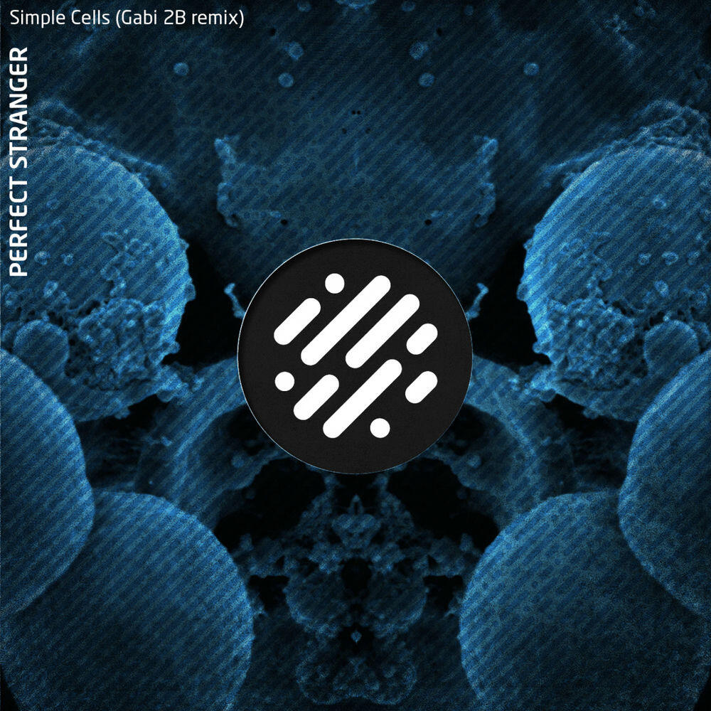 Релиз Simple Cells