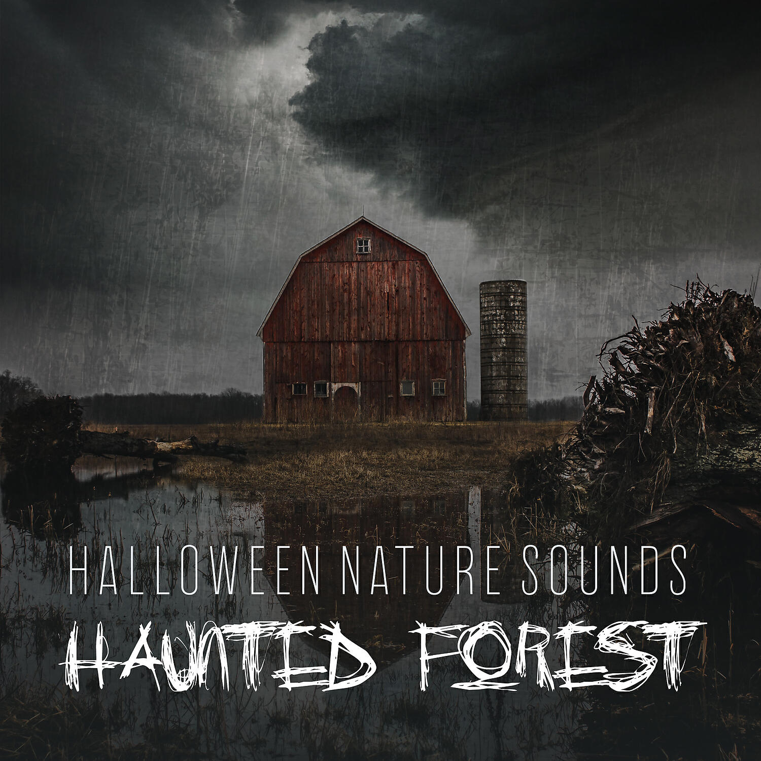 Релиз Halloween Nature Sounds: Haunted Forest - Fireplace with Thunder, Rain and Howling Wind, Halloween 2019 & Creepy Music