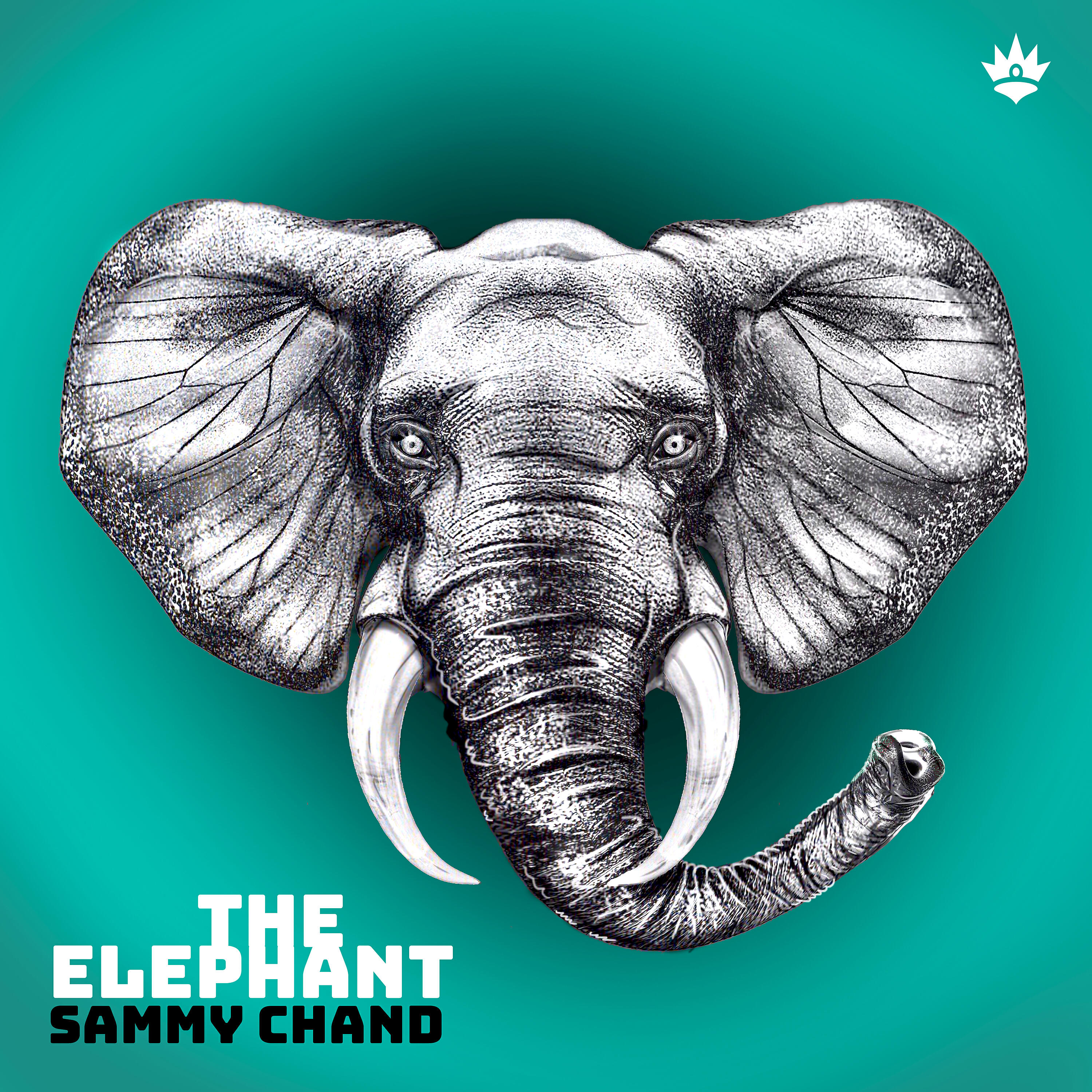 Релиз The Elephant