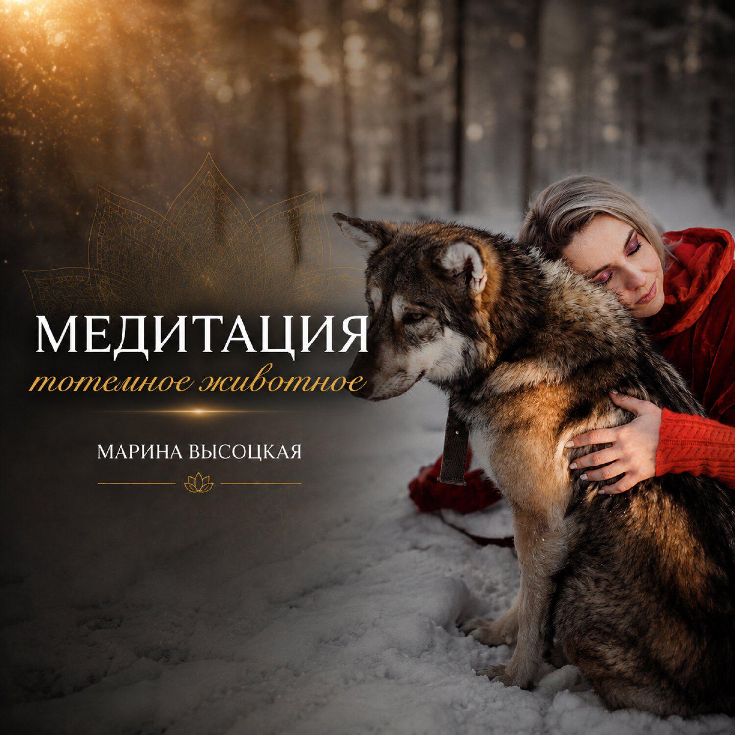 Релиз Медитация Тотемное животное