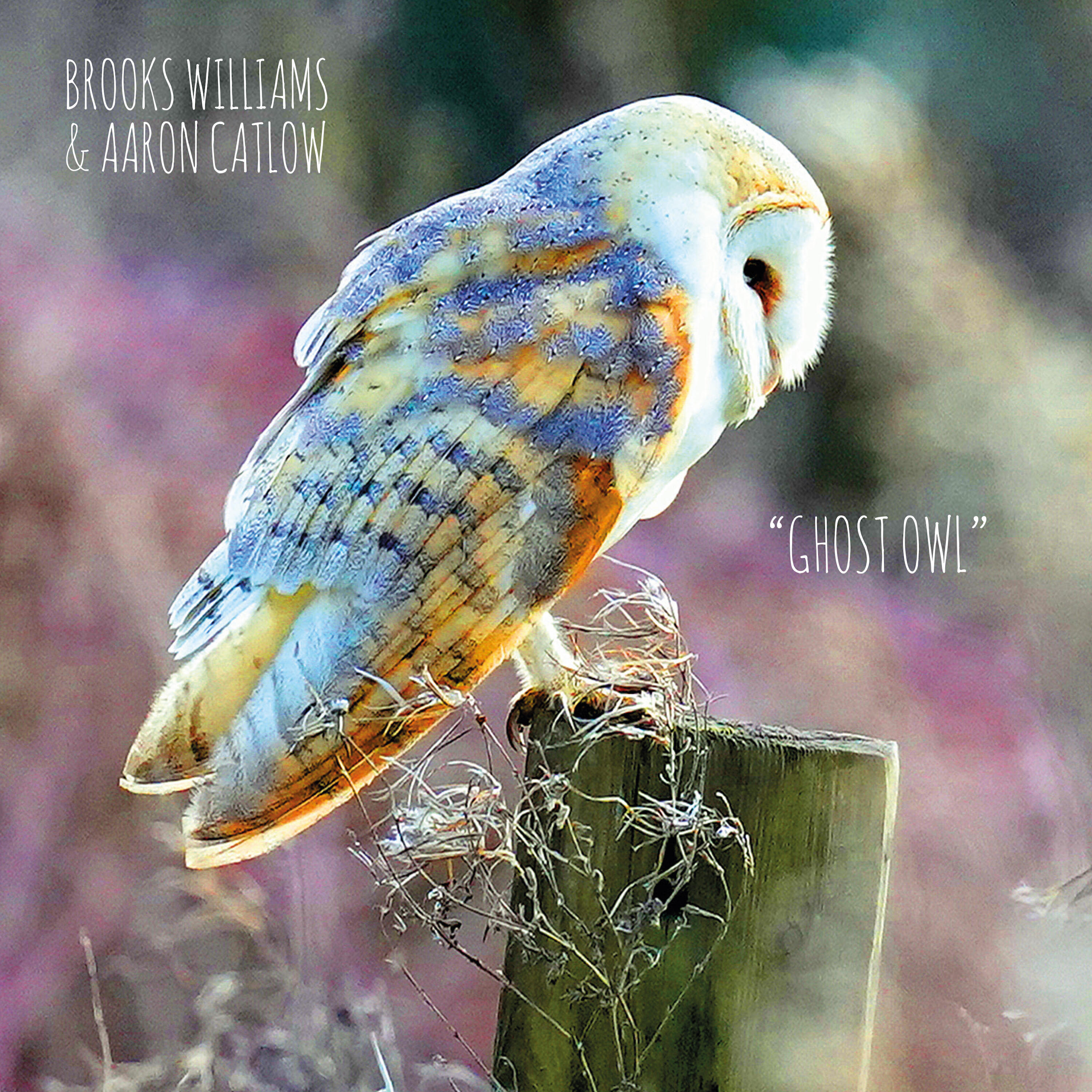 Релиз Ghost Owl