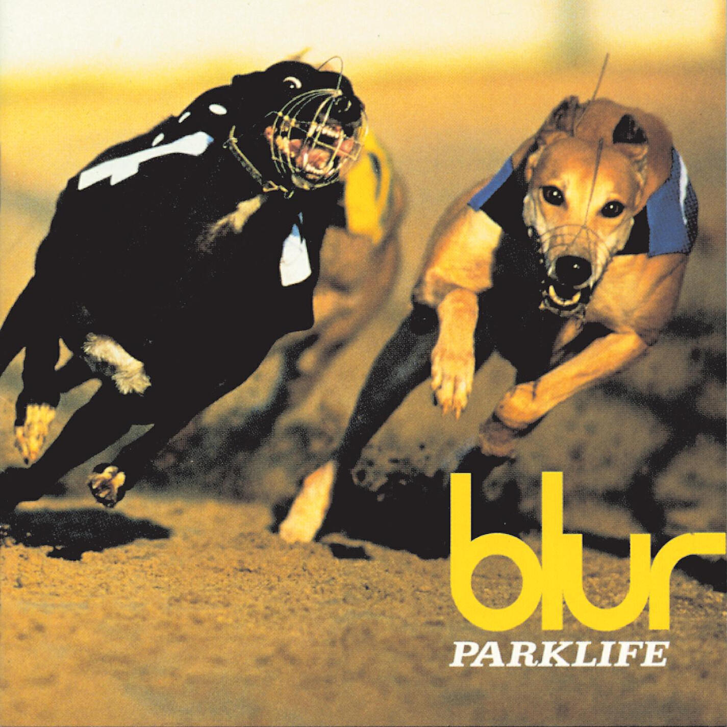 Релиз Parklife (Special Edition)