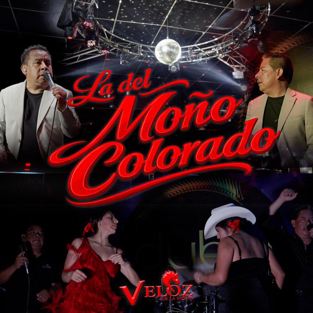 Veloz De La Sierra